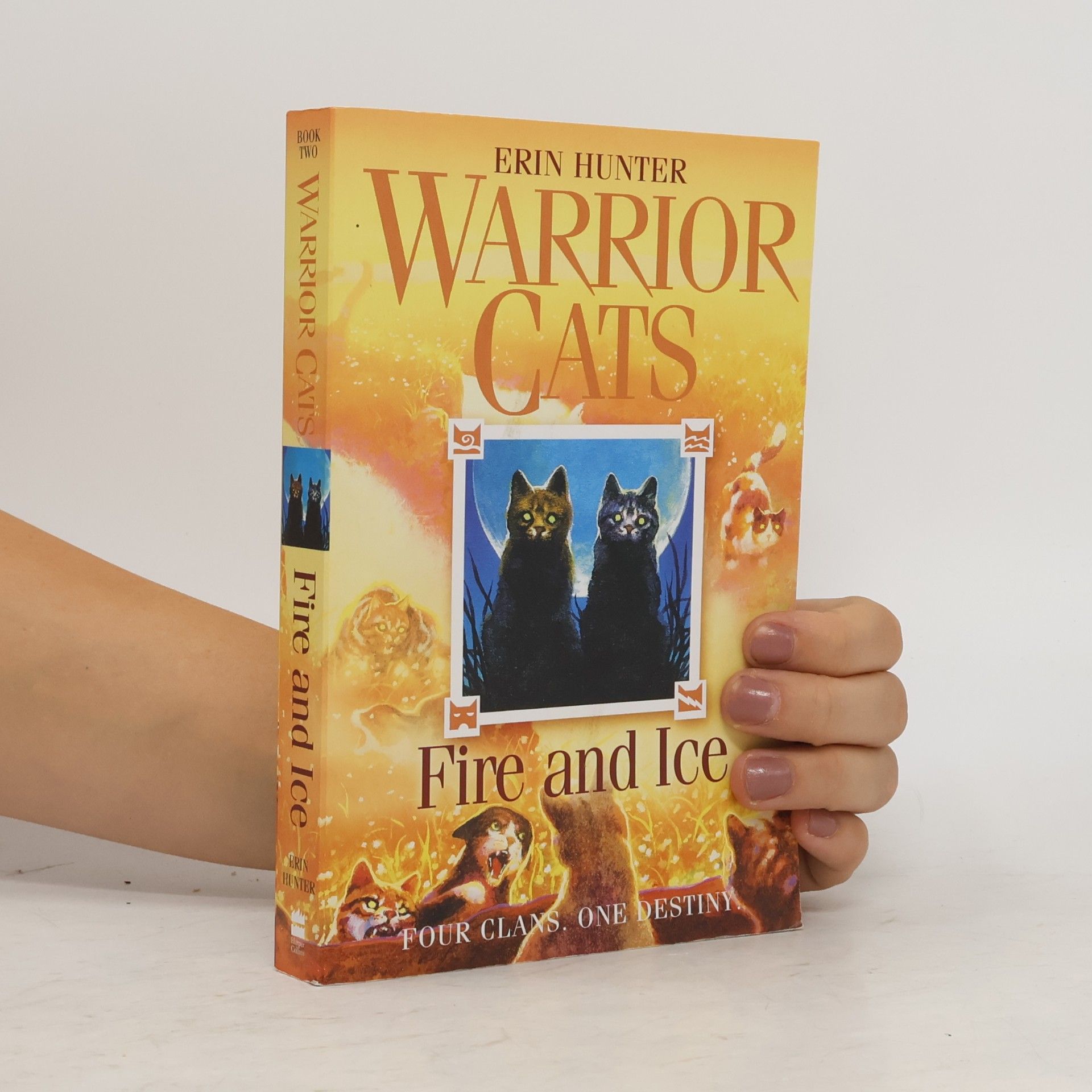Erin Hunter Fire and Ice