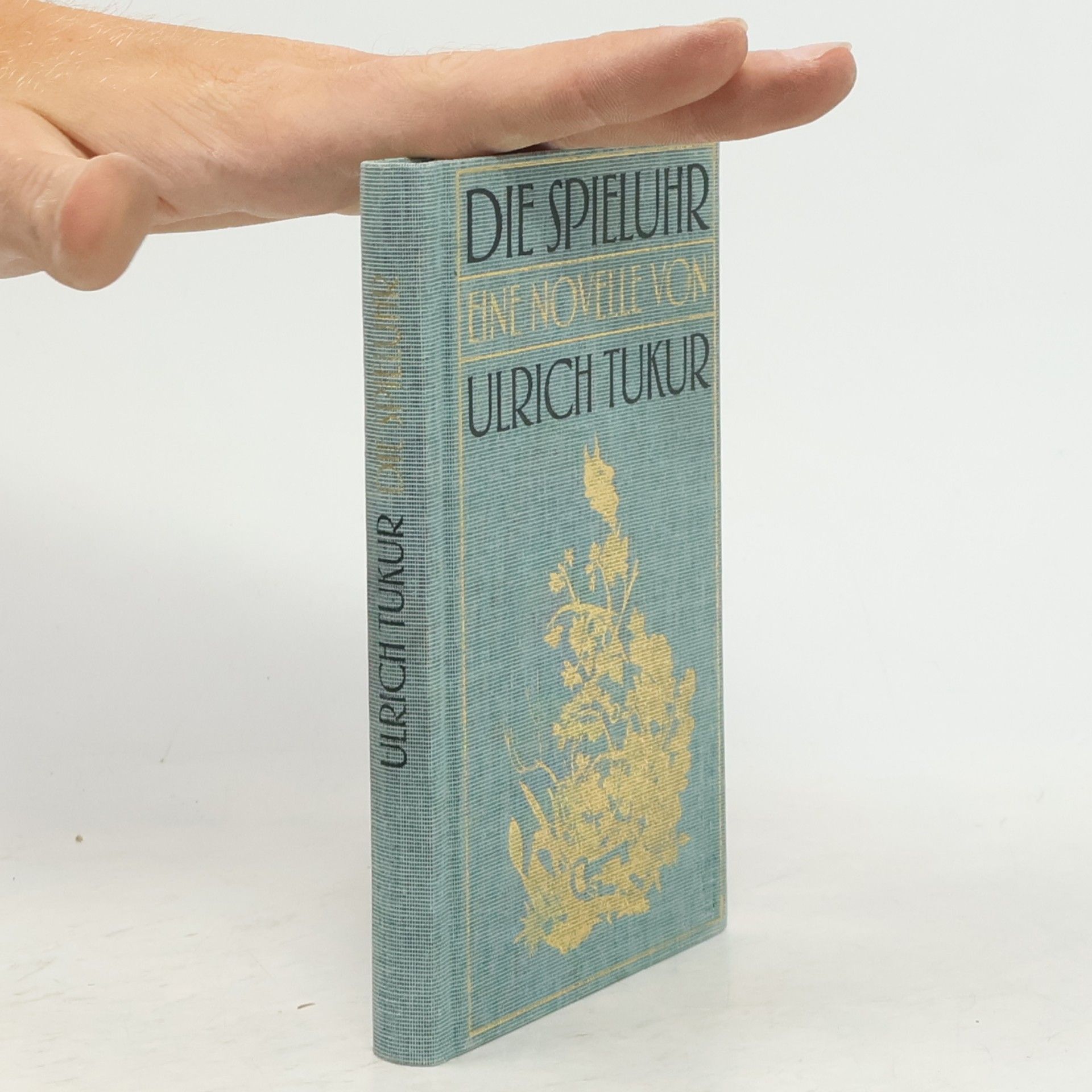 Ulrich Tukur Die Spieluhr. Eine Novelle