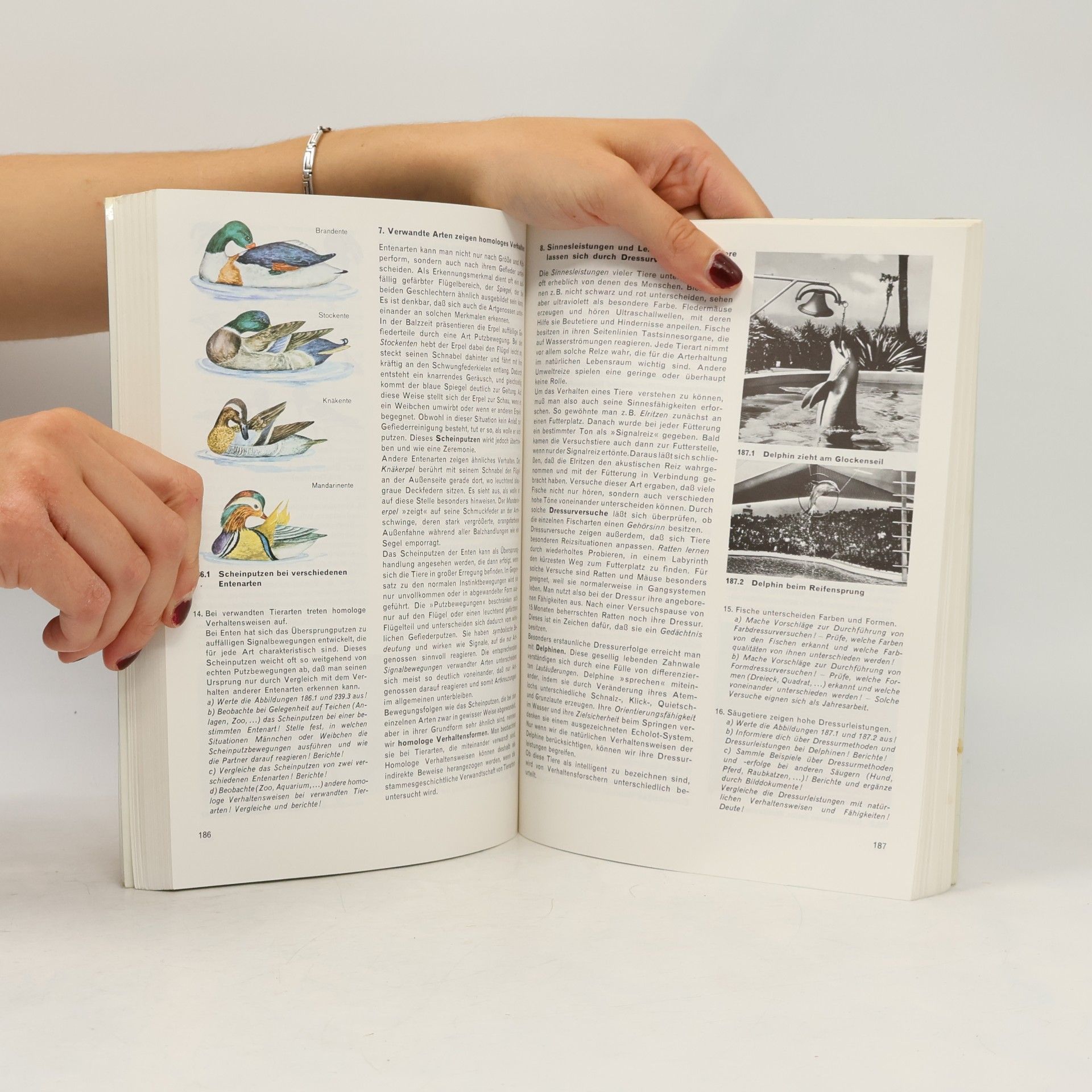 Lange Strauß Dobers Biologie