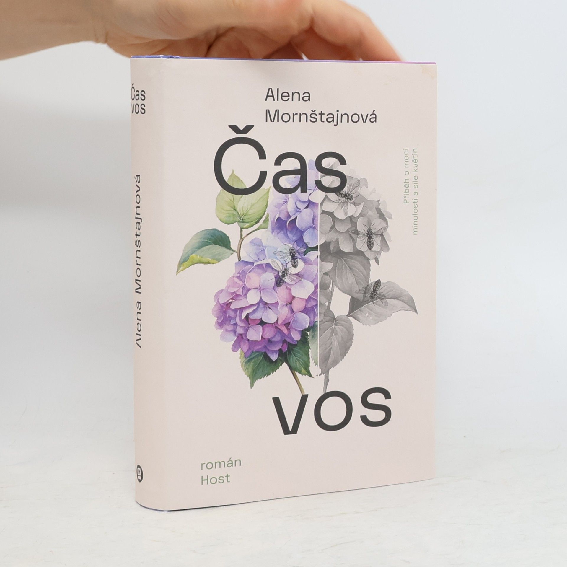 Alena Mornštajnová Čas vos