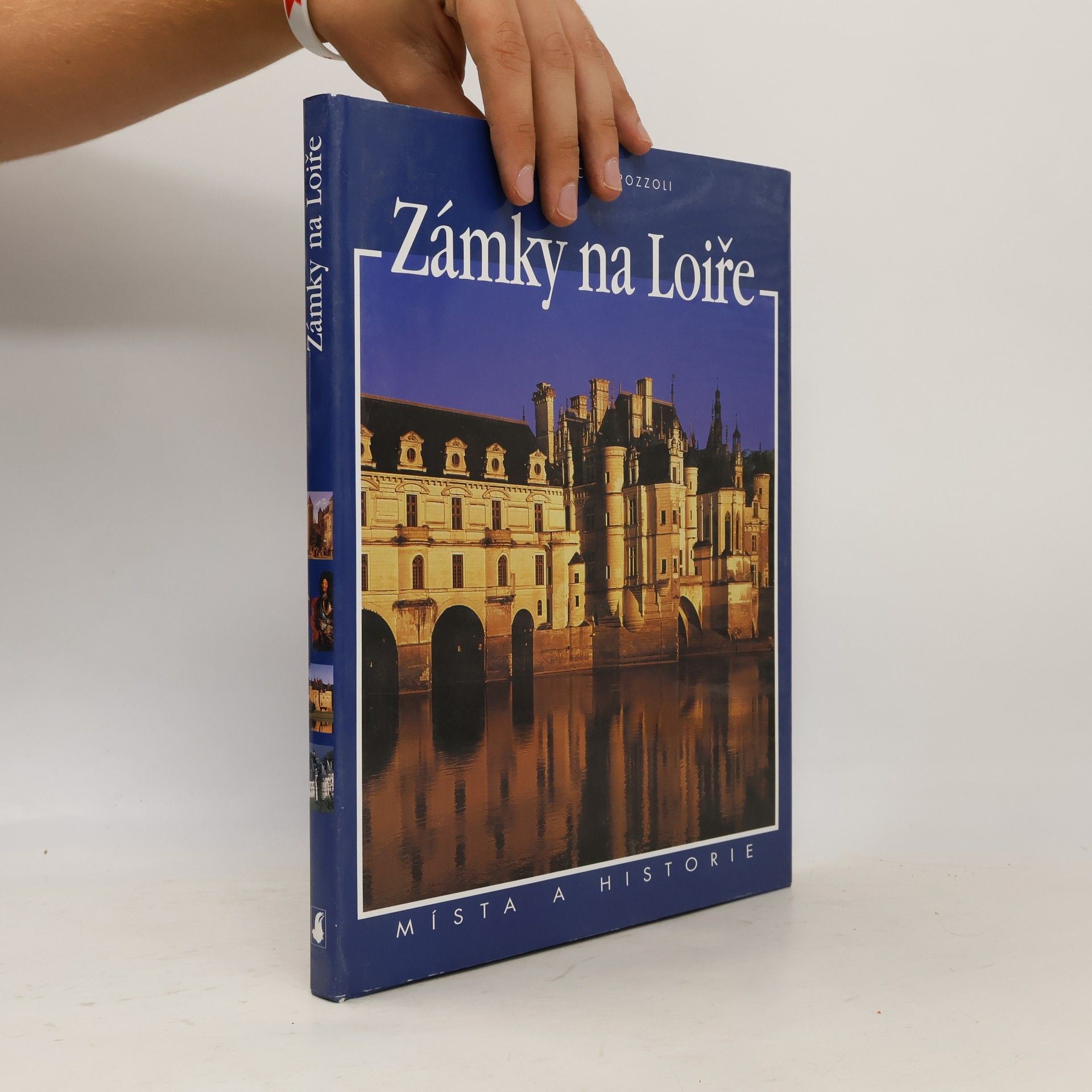 Milena Ercole Pozzoli Zámky na Loiře. Místa a historie