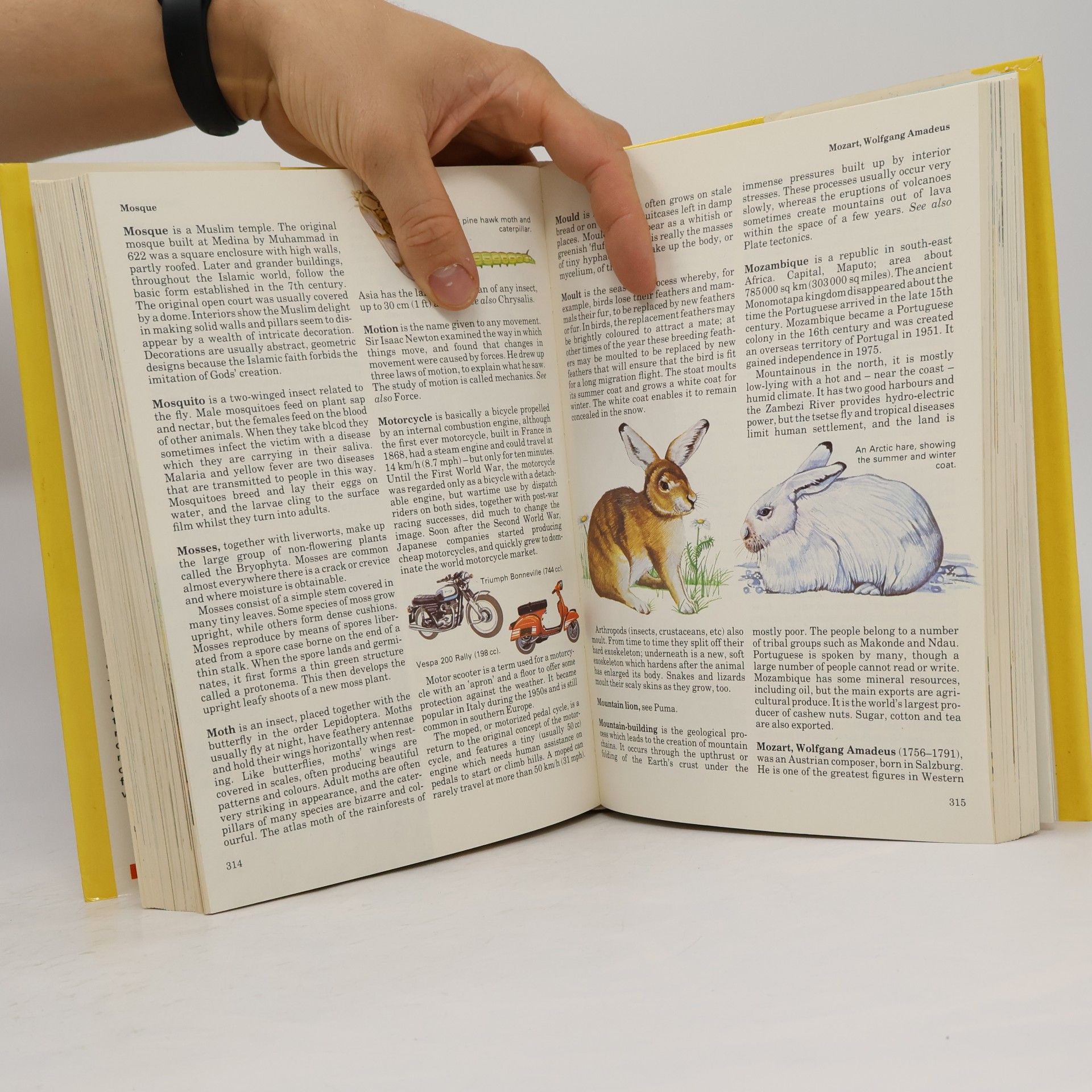 John Bailie Giant book of knowledge A-Z