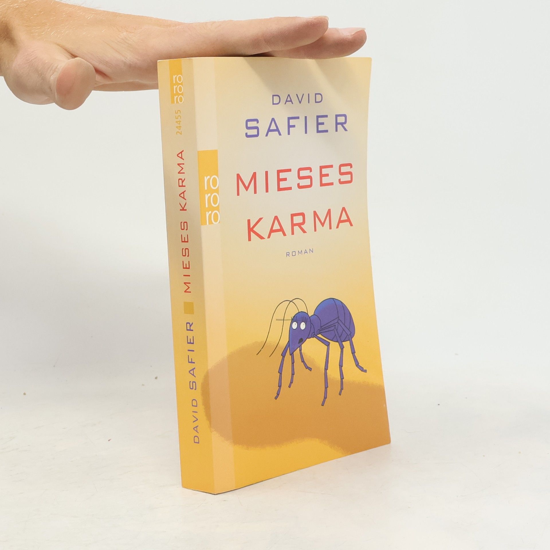 David Safier Mieses Karma
