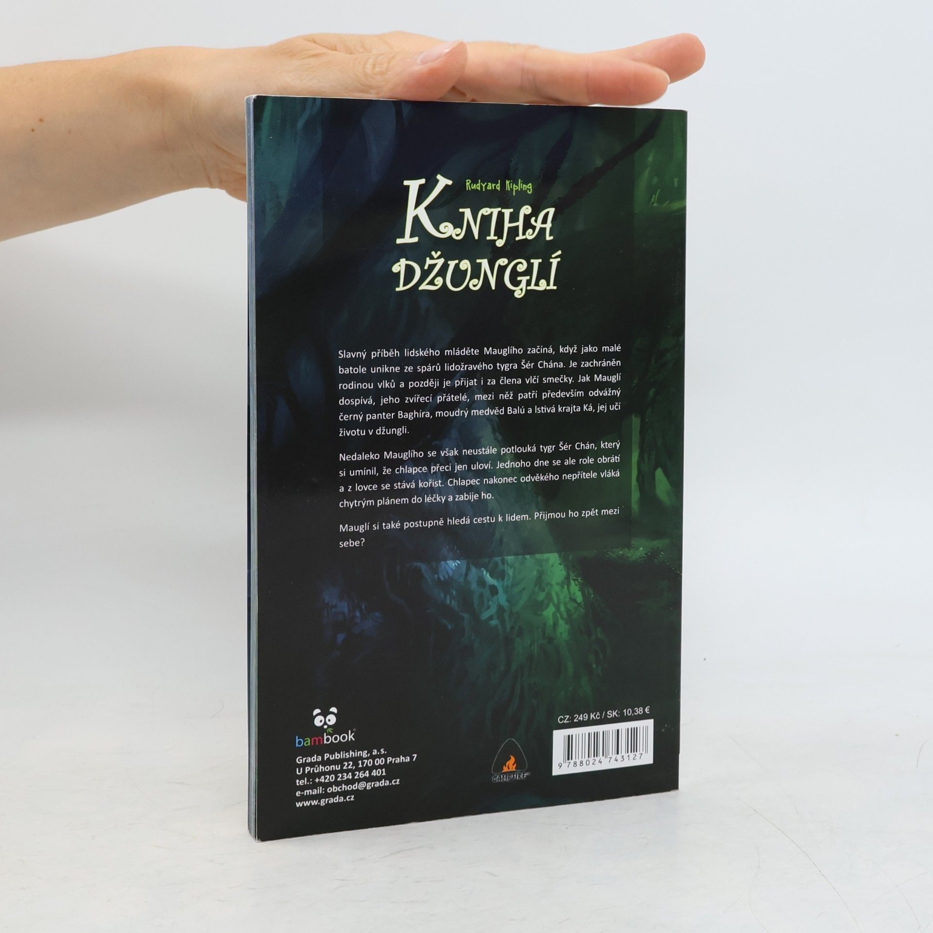 Amit Tayal Kniha džunglí