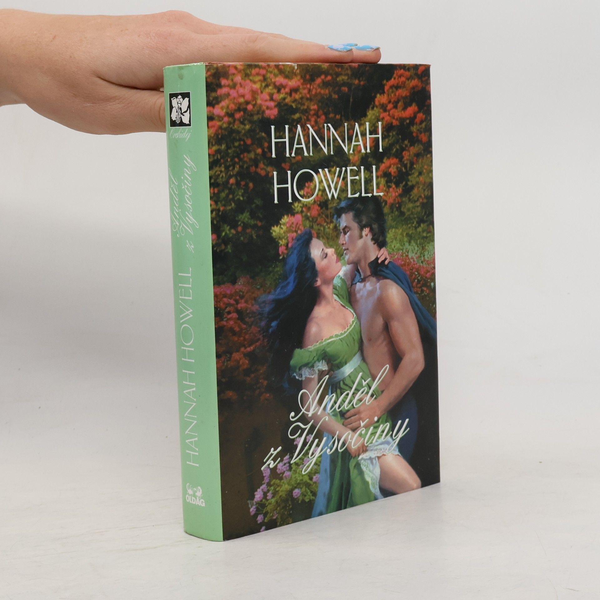 Hannah Howell Anděl z Vysočiny