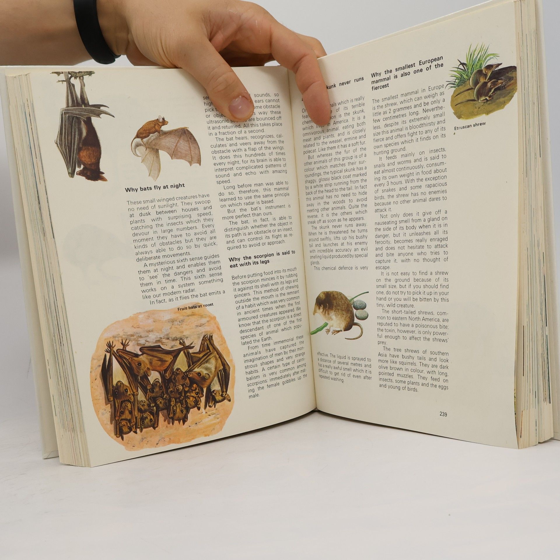 Antonín Šplíchal Bildwörterbuch: Deutsch