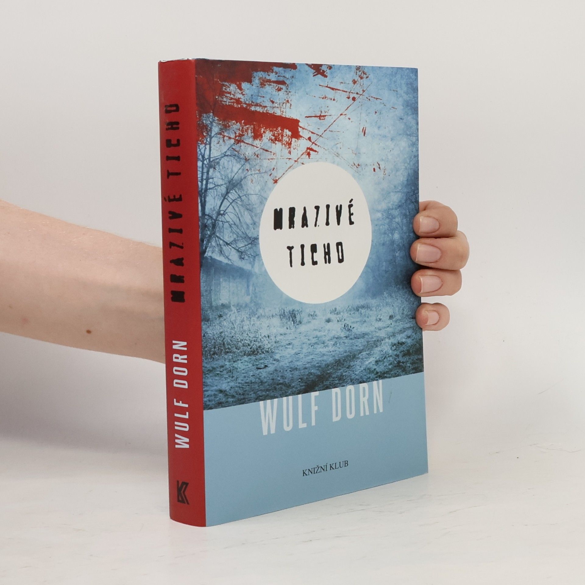 Wulf Dorn Mrazivé ticho