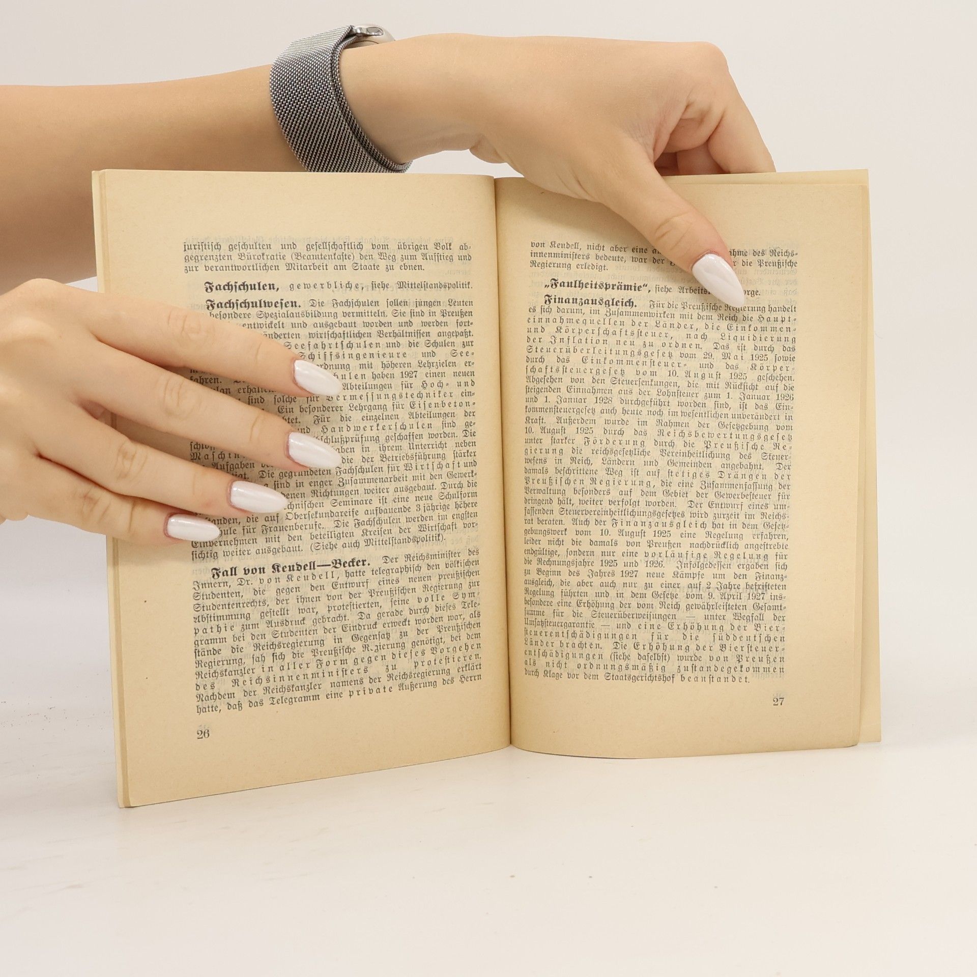 kolektiv Preußen 1928. Politik in Stichworten