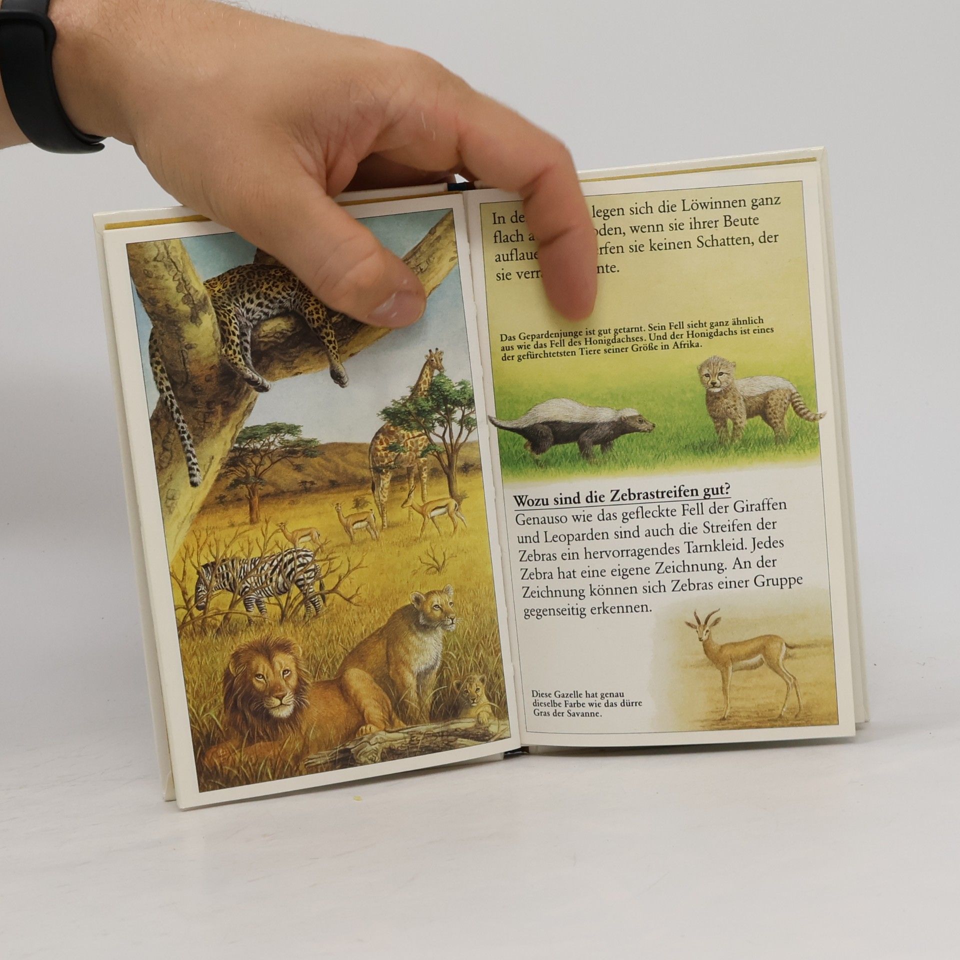 Auteurscollectief Tricks der Tiere. Tarnung und Signale