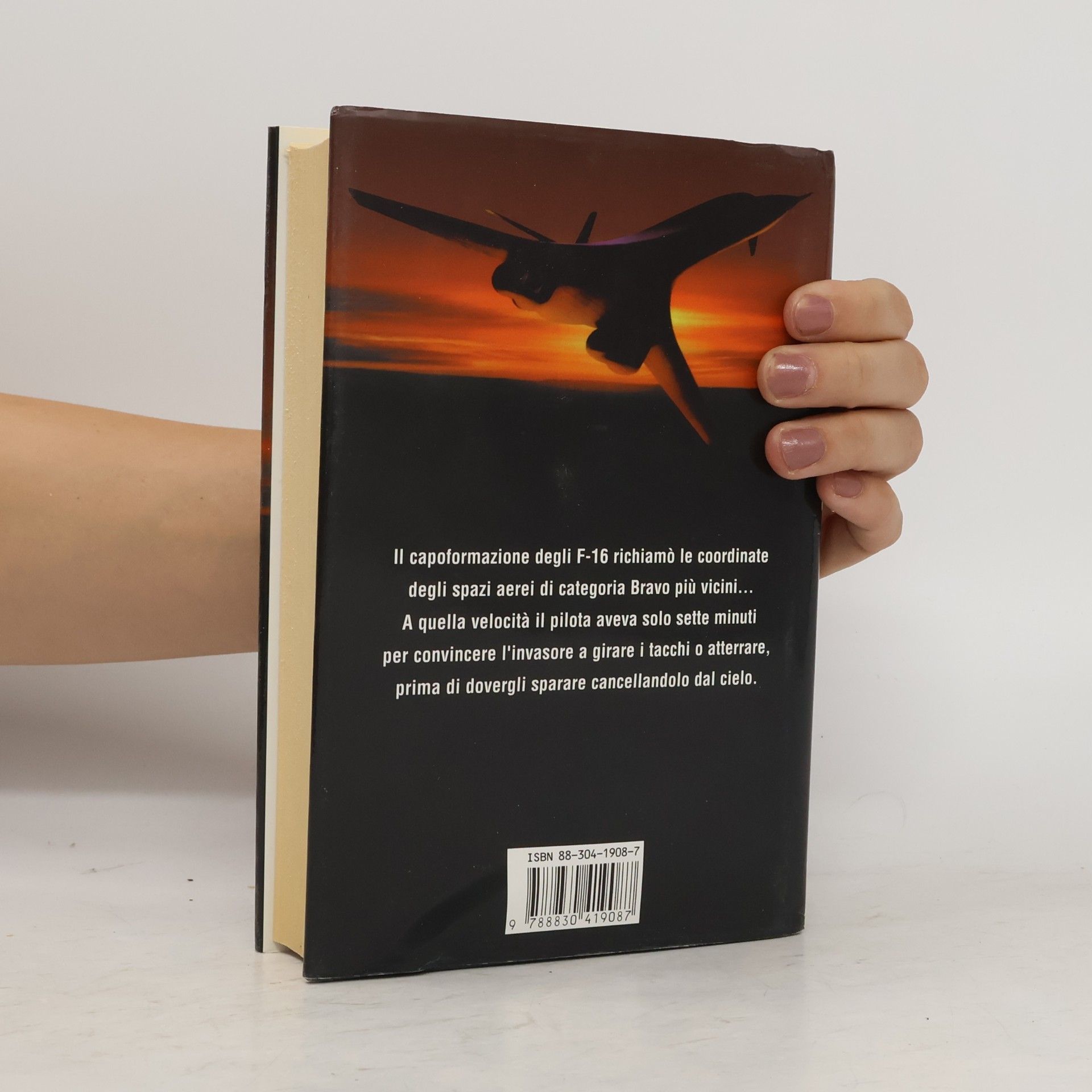 Dale Brown I grandi libri d'azione - 24: Nati per combattere