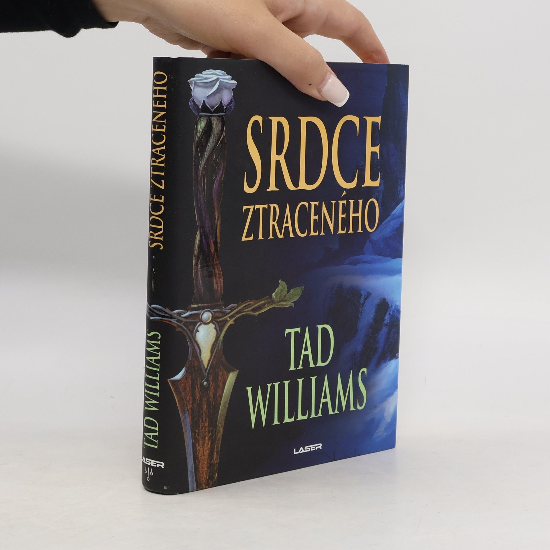 Tad Williams Srdce ztraceného