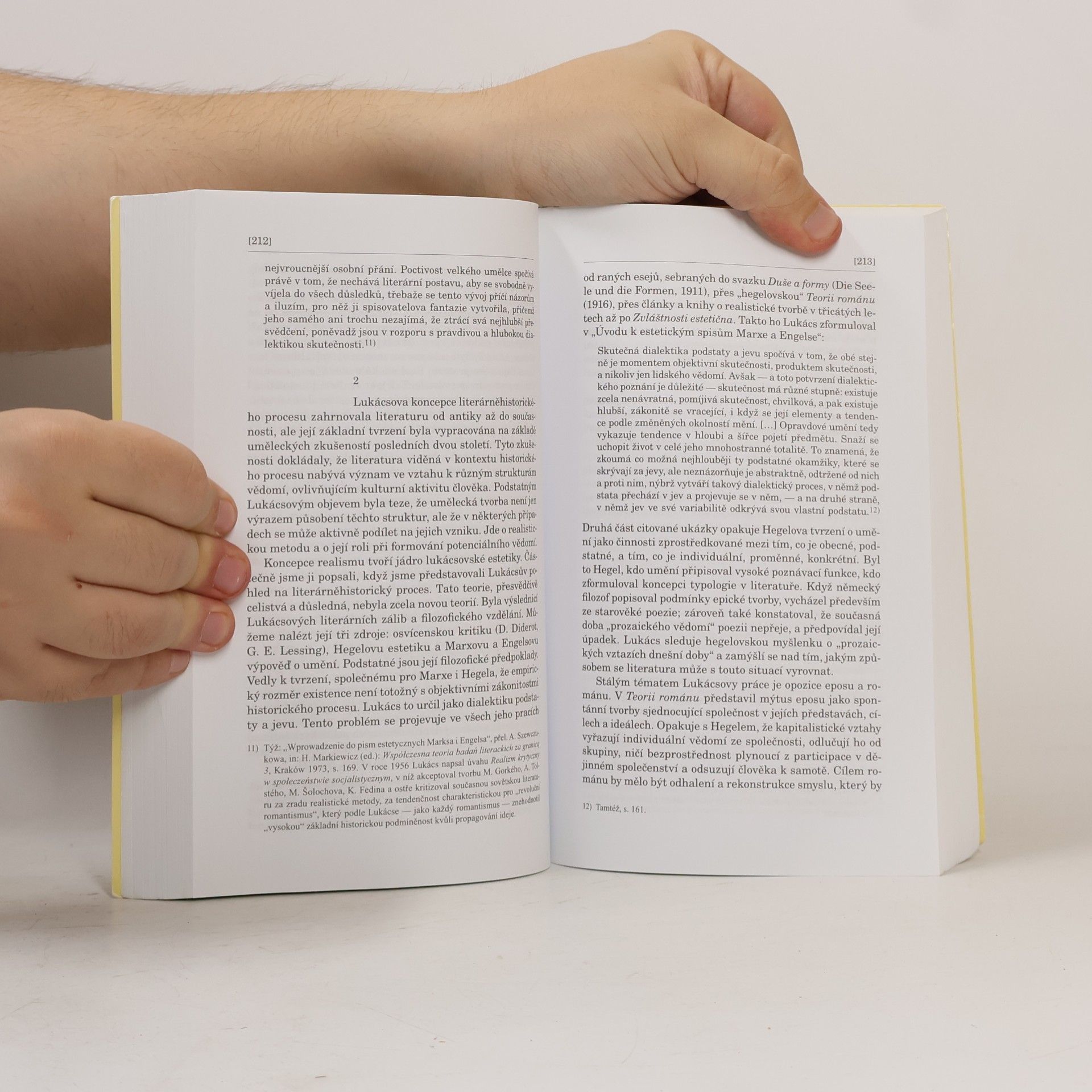 Zofia Mitosek Teorie literatury