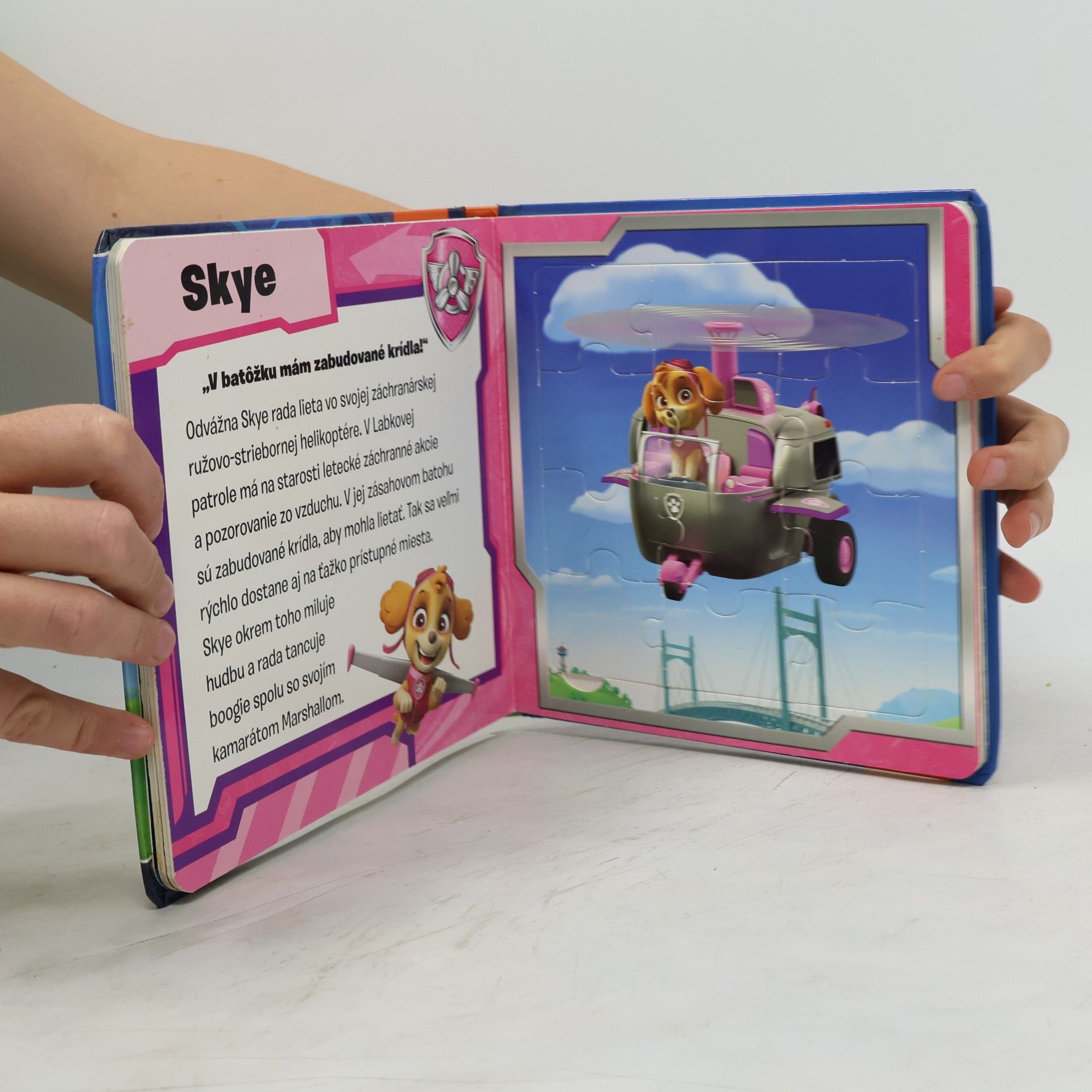 Collectif d'auteurs Paw Patrol. Puzzlebuch
