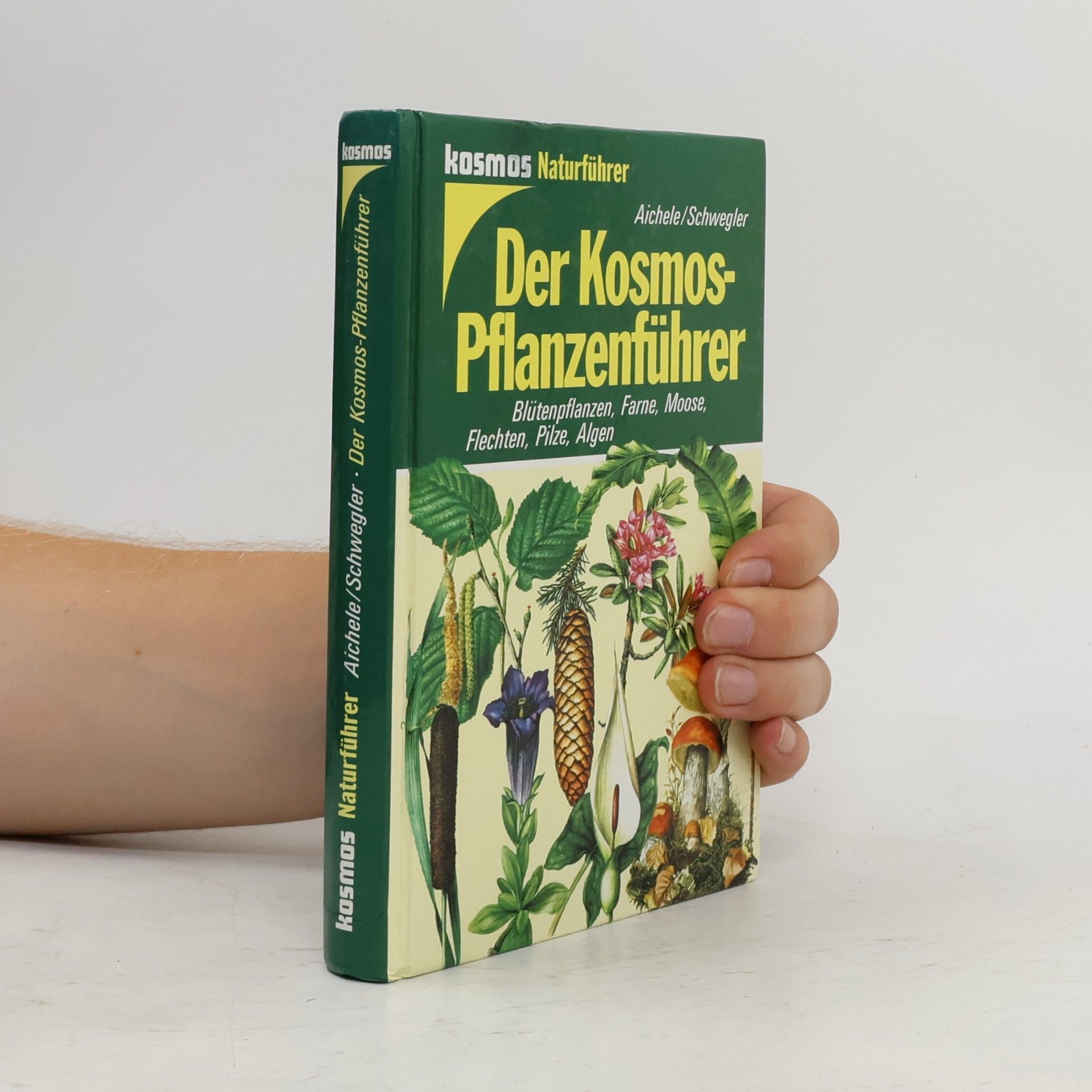 Der Kosmos-Pflanzenführer : Blütenpflanzen, Farne, Moose, Flechten, Pilze, Algen in 653 Farbbildern