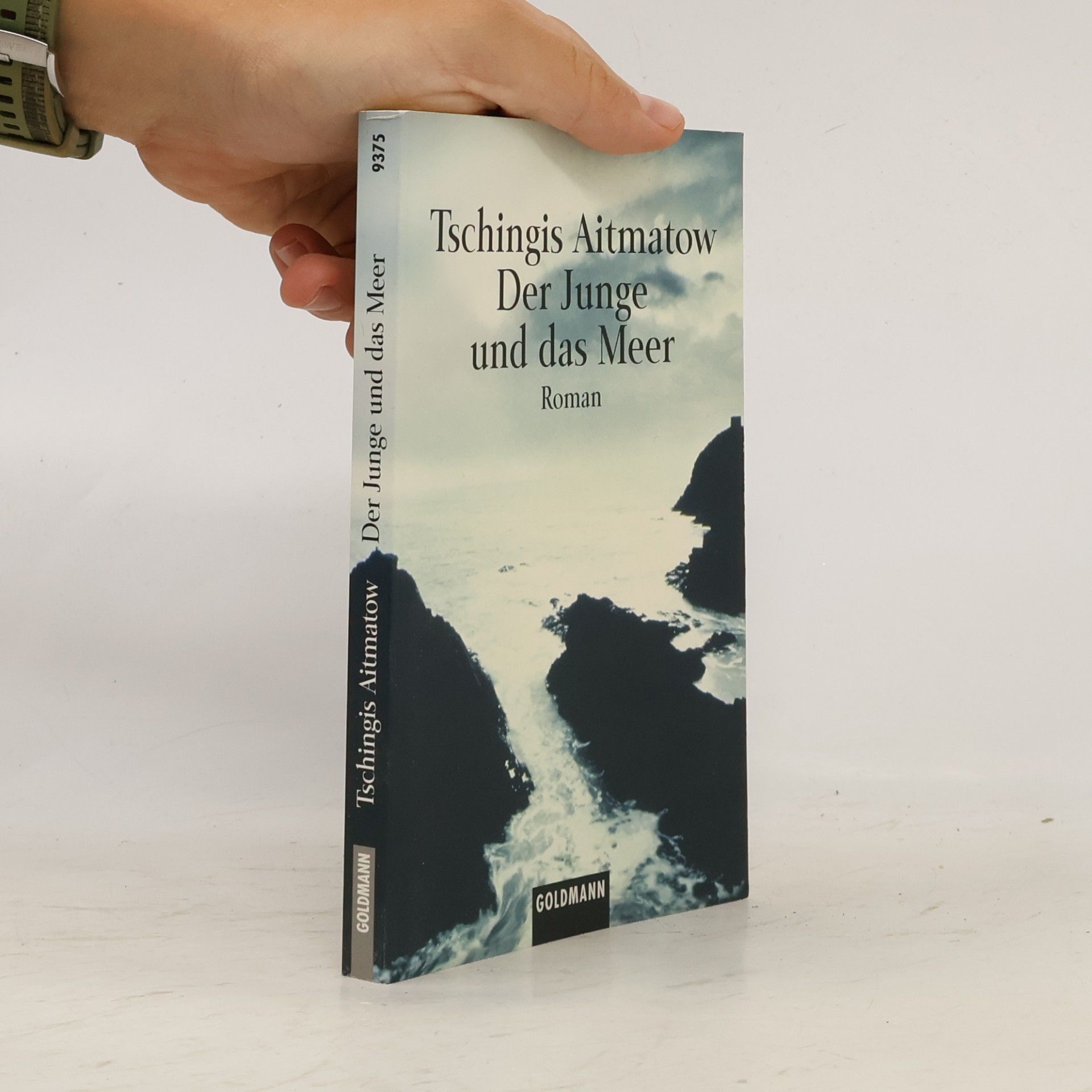 Der Junge und das Meer