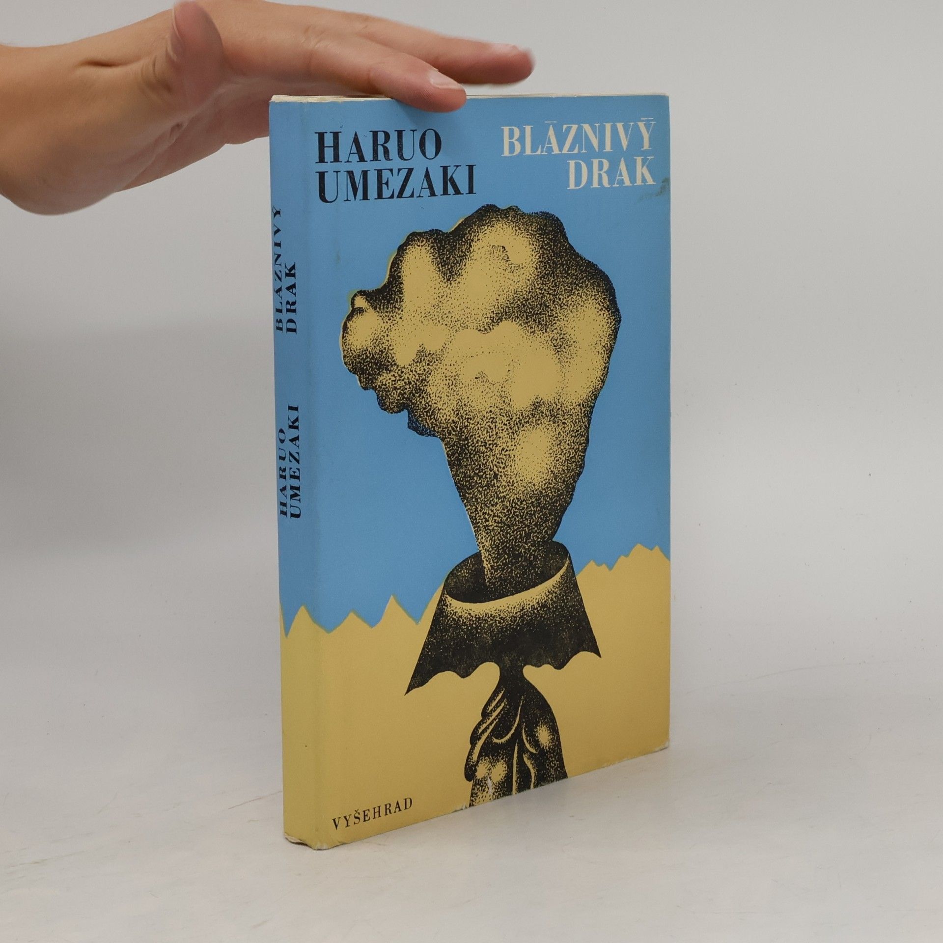 Haruo Umezaki Bláznivý drak