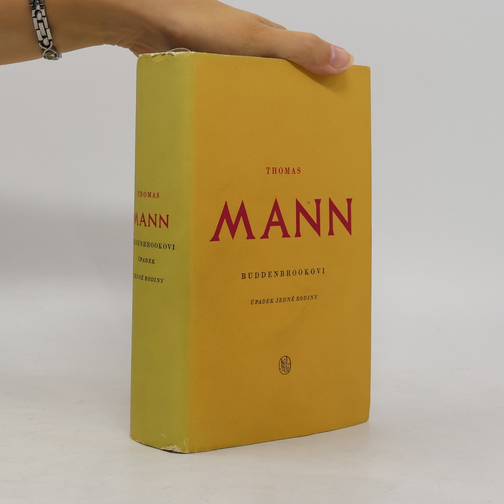 Thomas Mann Buddenbrookovi úpadek jedné rodiny