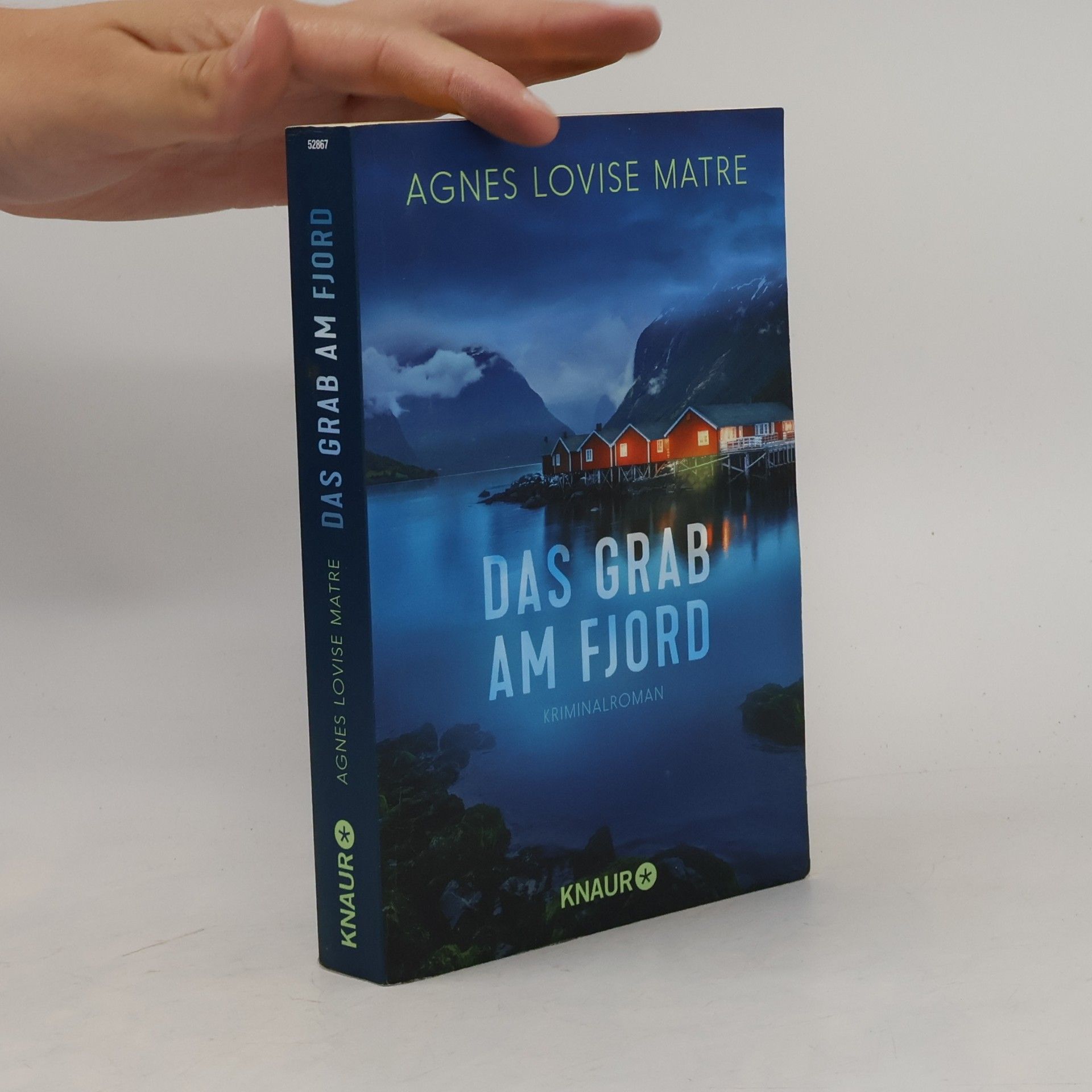 Agnes Lovise Matre Das Grab am Fjord