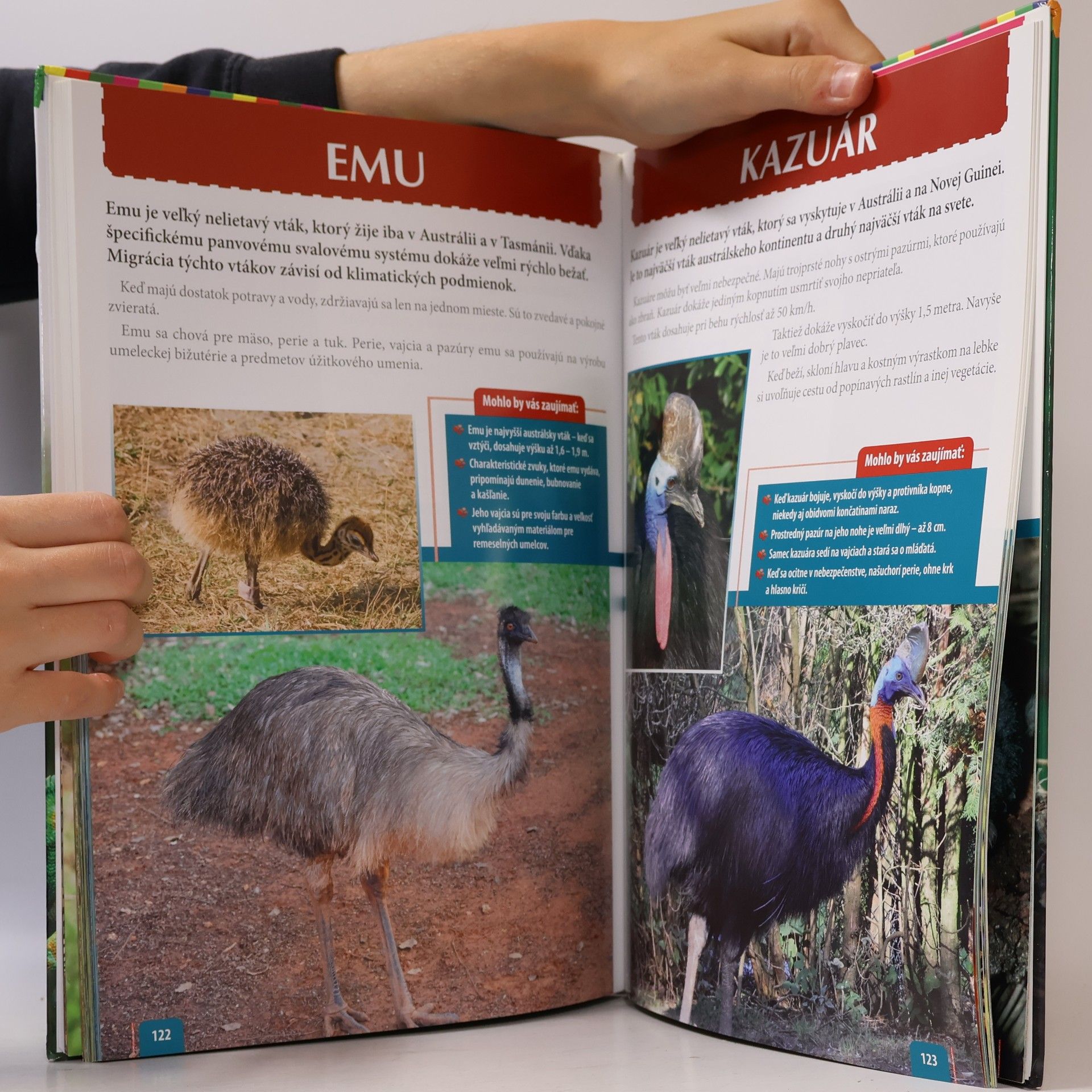 Autorenkollektiv Encyklopédia zvierat