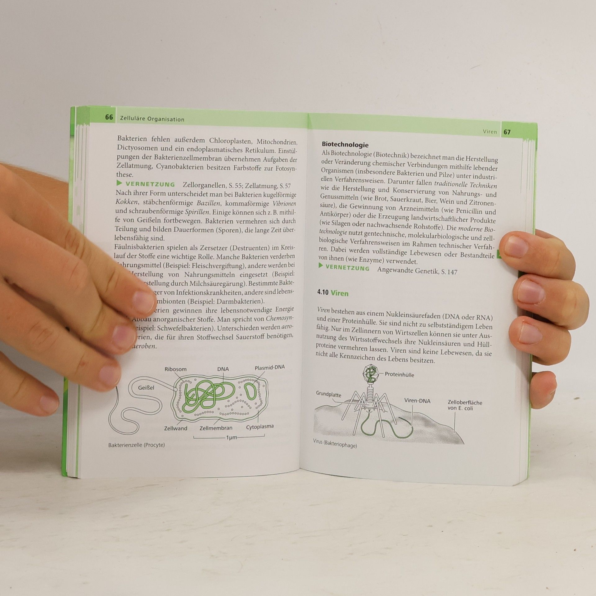 Jan Illgen Biologie: Kompaktwissen 5.-10. Klasse