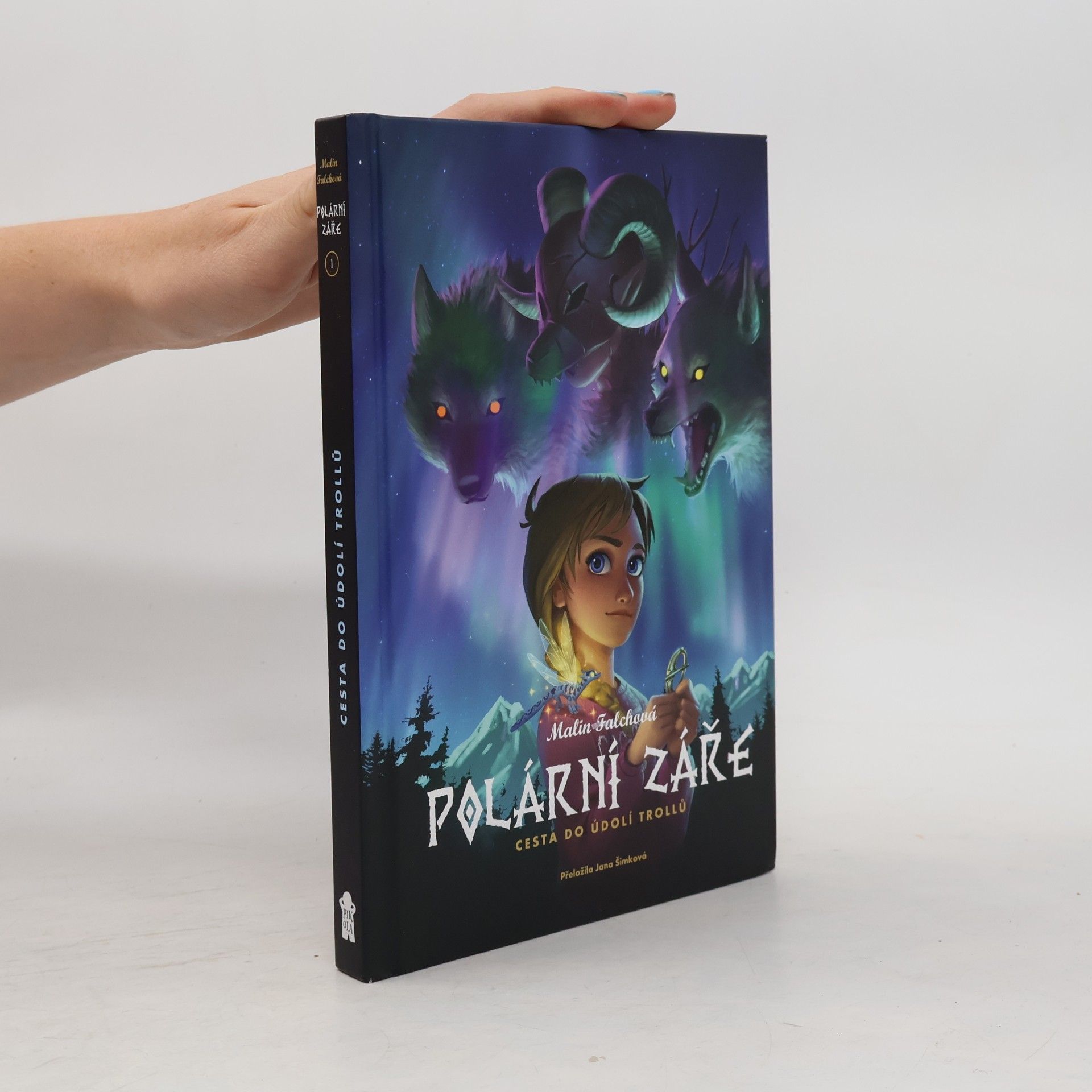 Malin Falch Polární záře. Cesta do Údolí trollů