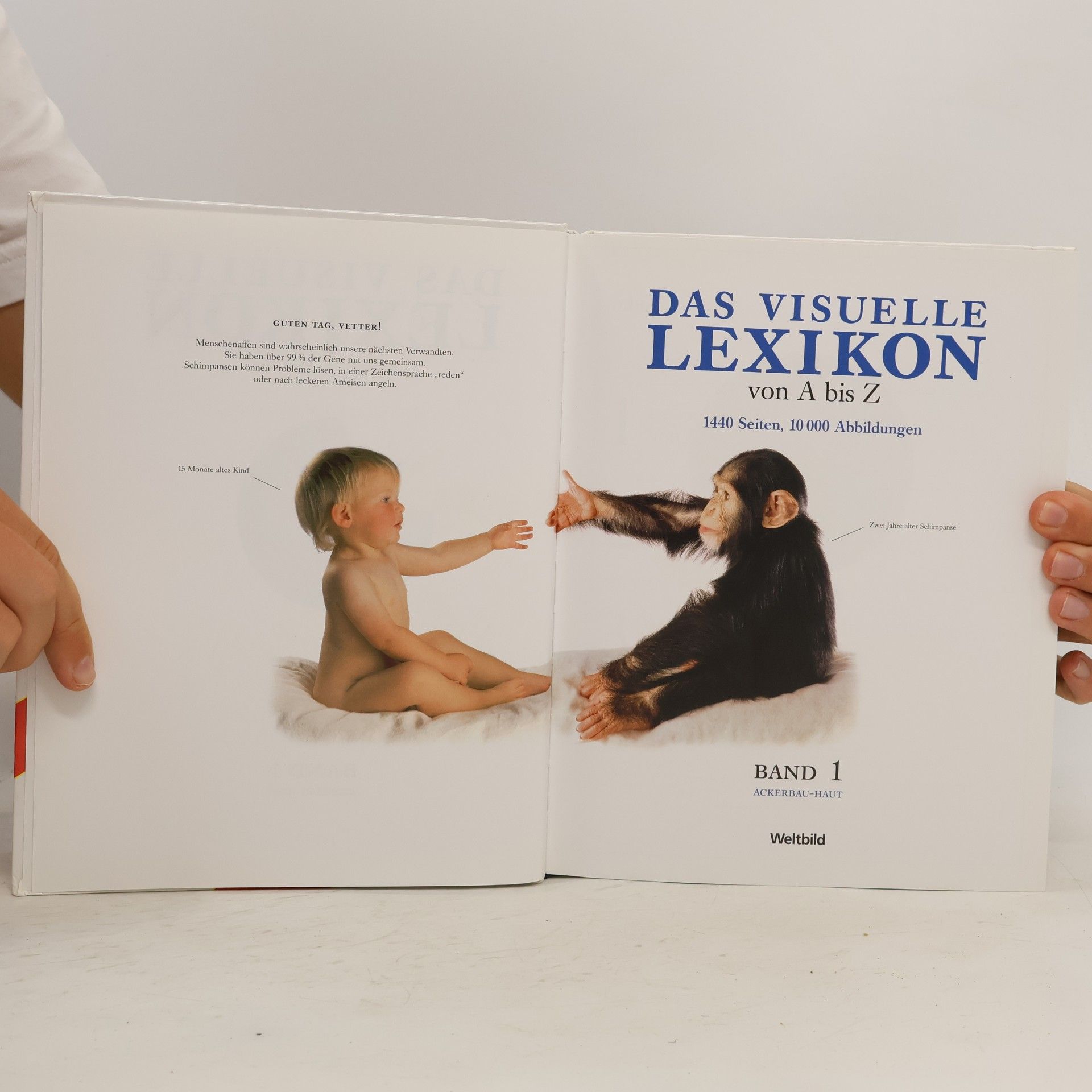 Autorenkollektiv Das visuelle Lexikon von A bis Z. Band 1