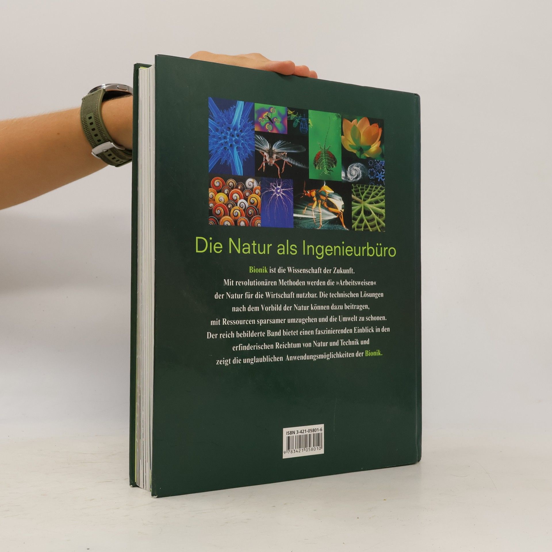 Werner Nachtigall Das große Buch der Bionik