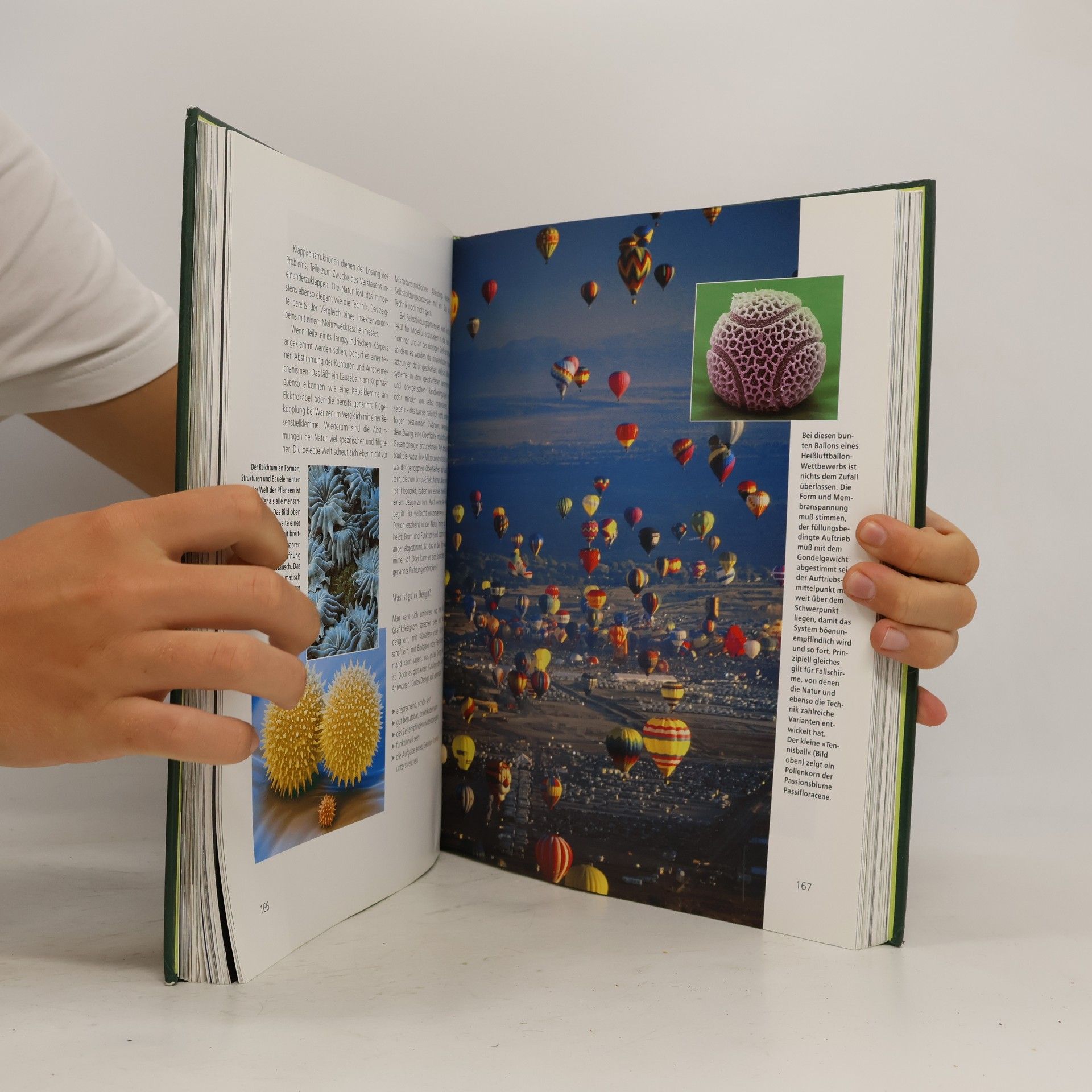 Werner Nachtigall Das große Buch der Bionik