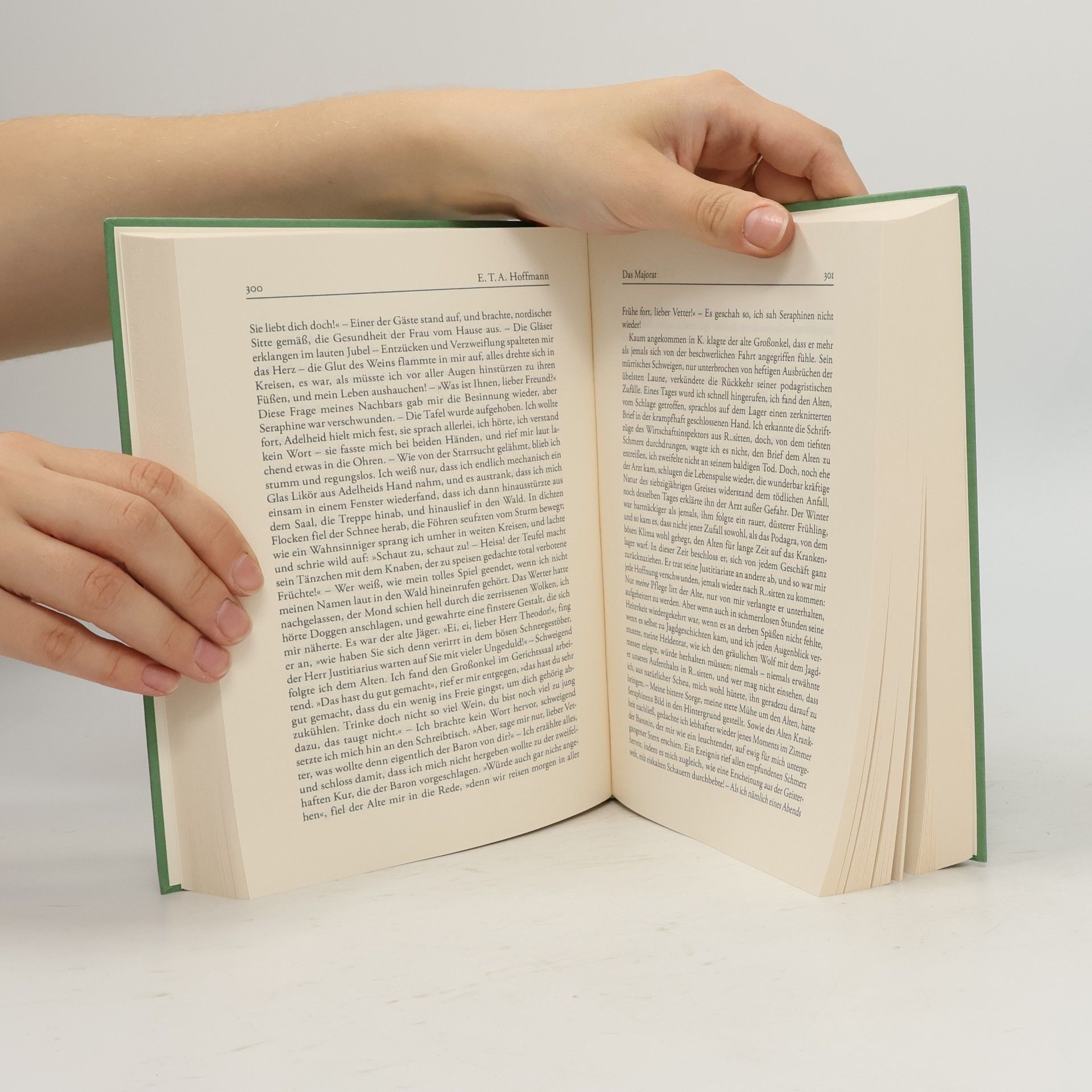 E. T. A. Hoffmann Gesammelte Werke