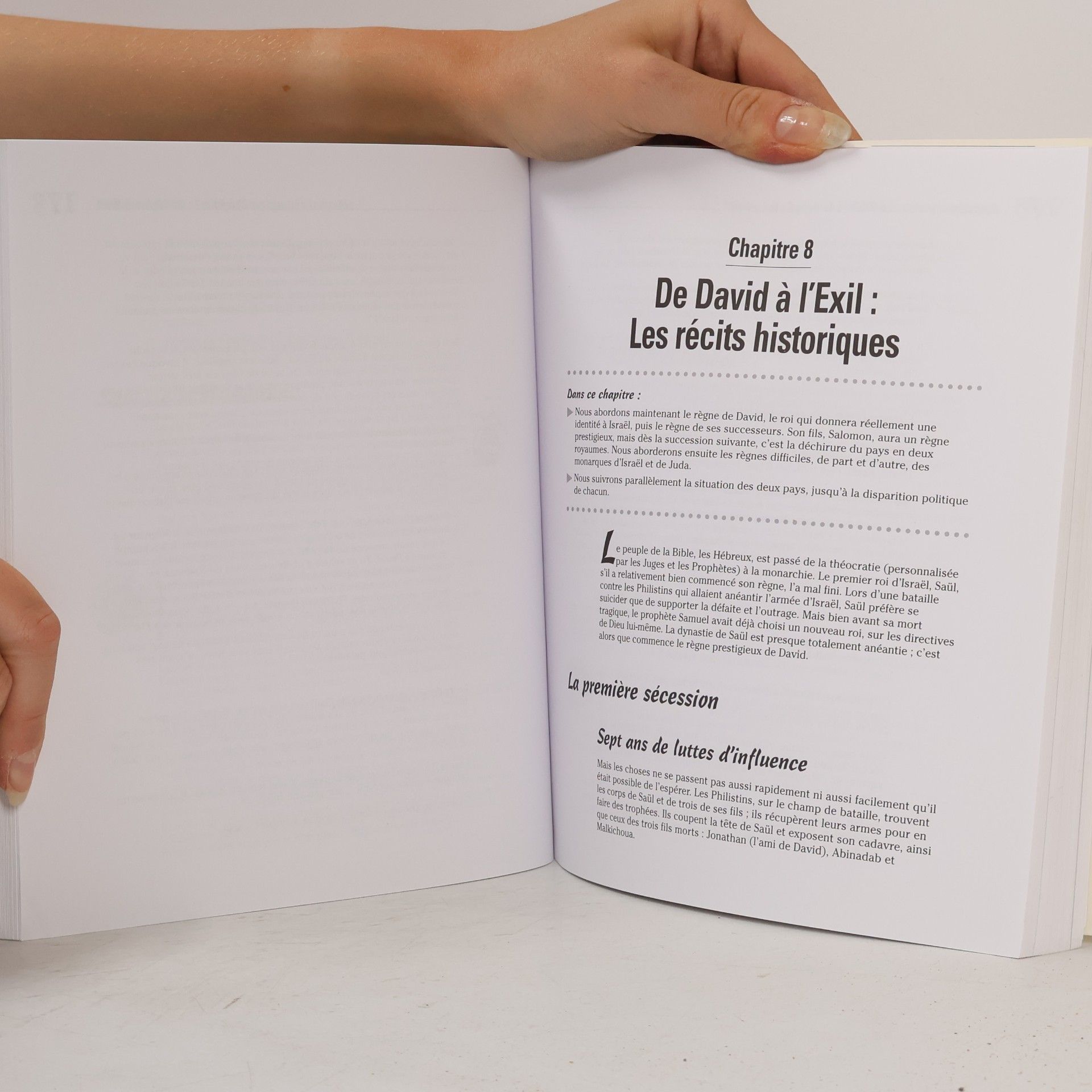 Éric Denimal La Bible pour les Nuls