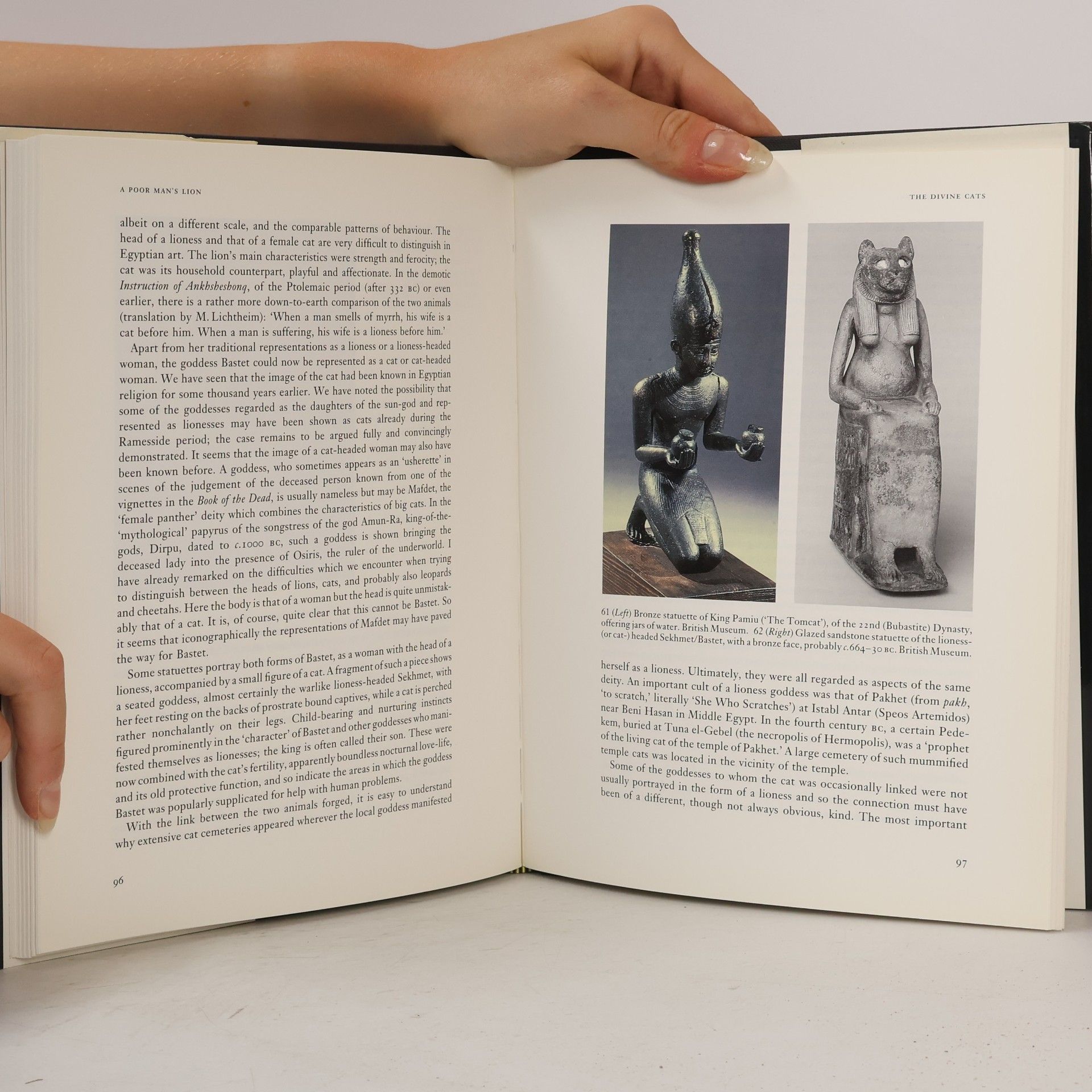 Jaromír Málek The Cat in Ancient Egypt