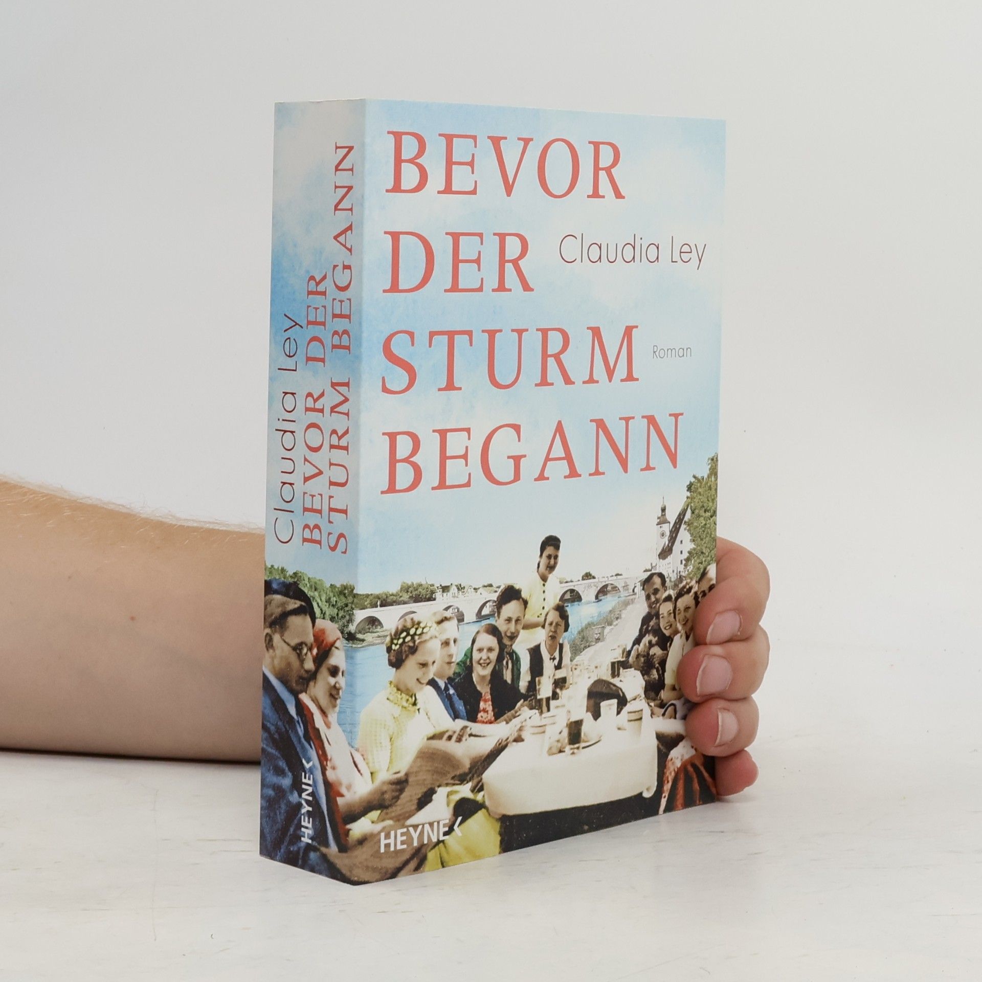 Claudia Ley Bevor der Sturm begann