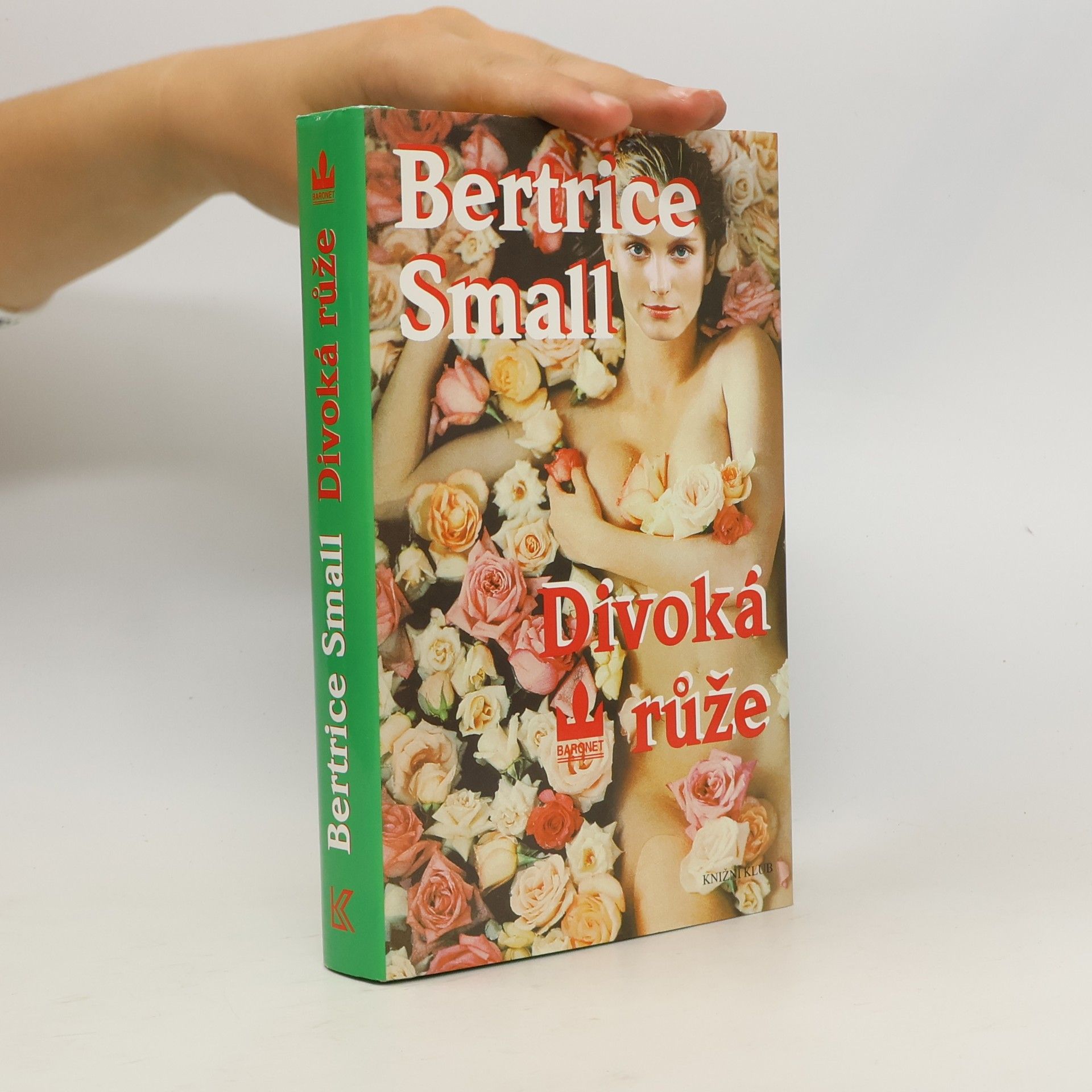 Bertrice Small Divoká růže