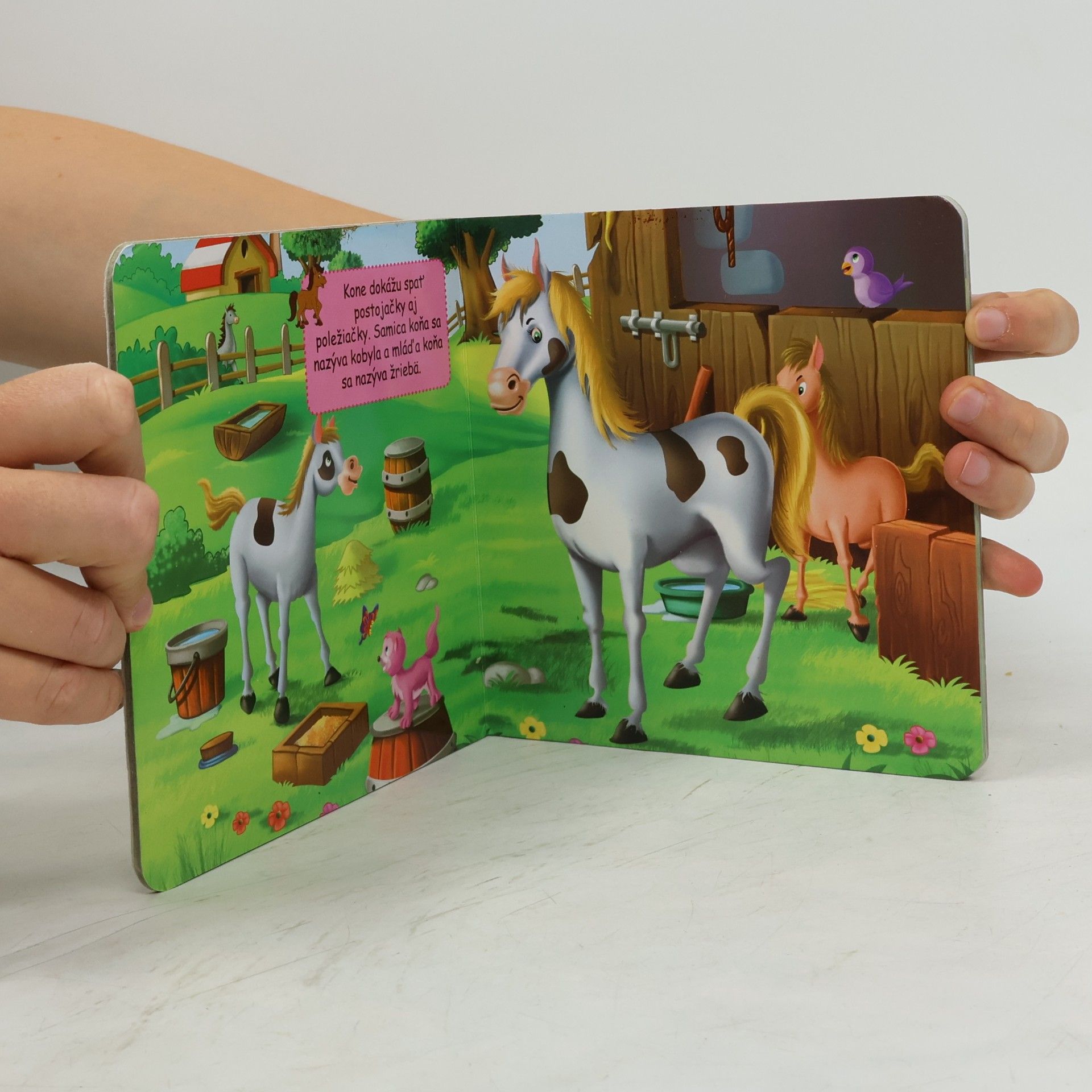 Foni book SK Zvieratká z farmy - leporelo