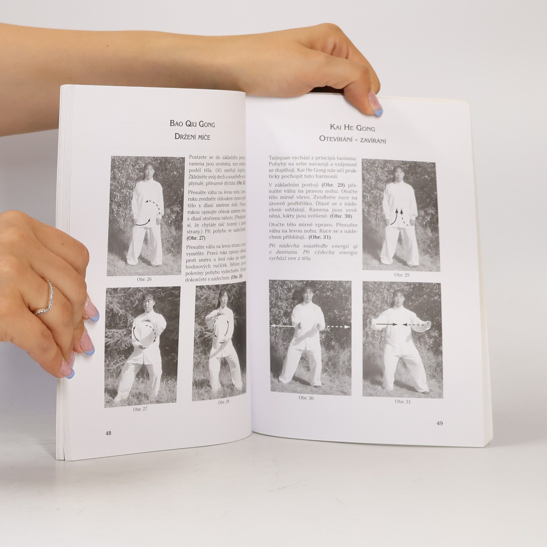 Shifu Zhai Hua Chenjiagou Taijiquan. Základní dovednosti, třináct forem