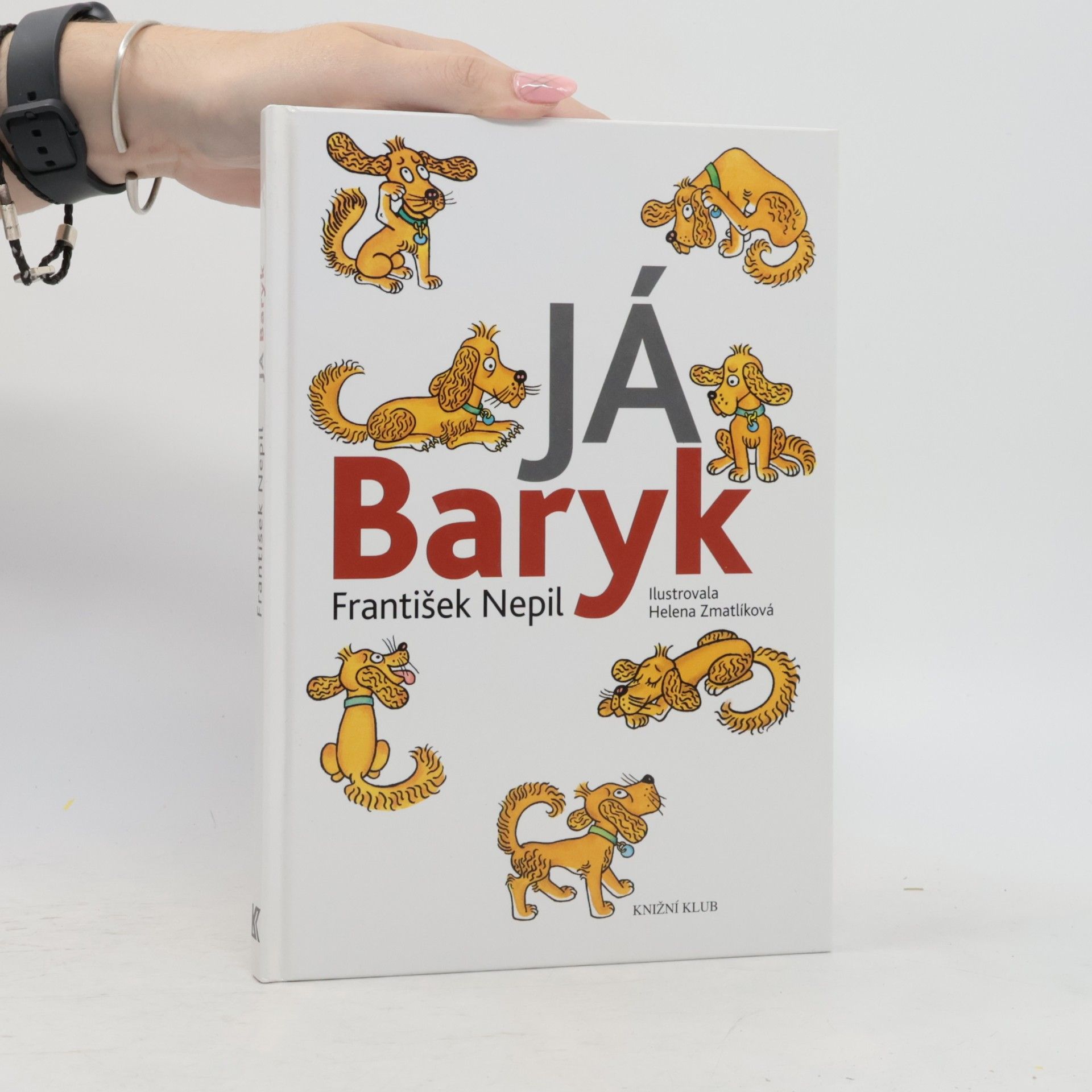 Já, Baryk