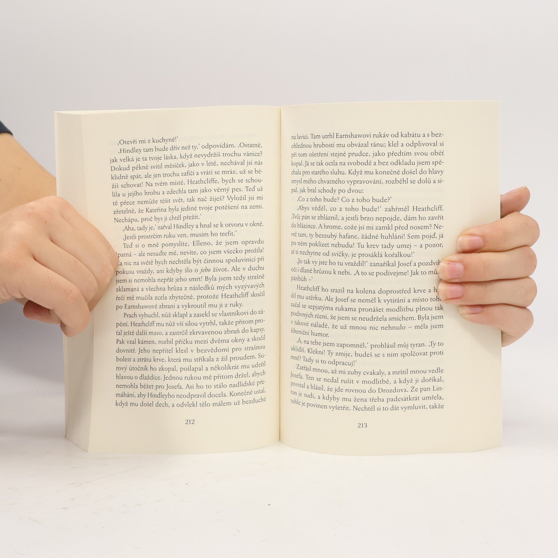 Emily Brontë Na Větrné hůrce