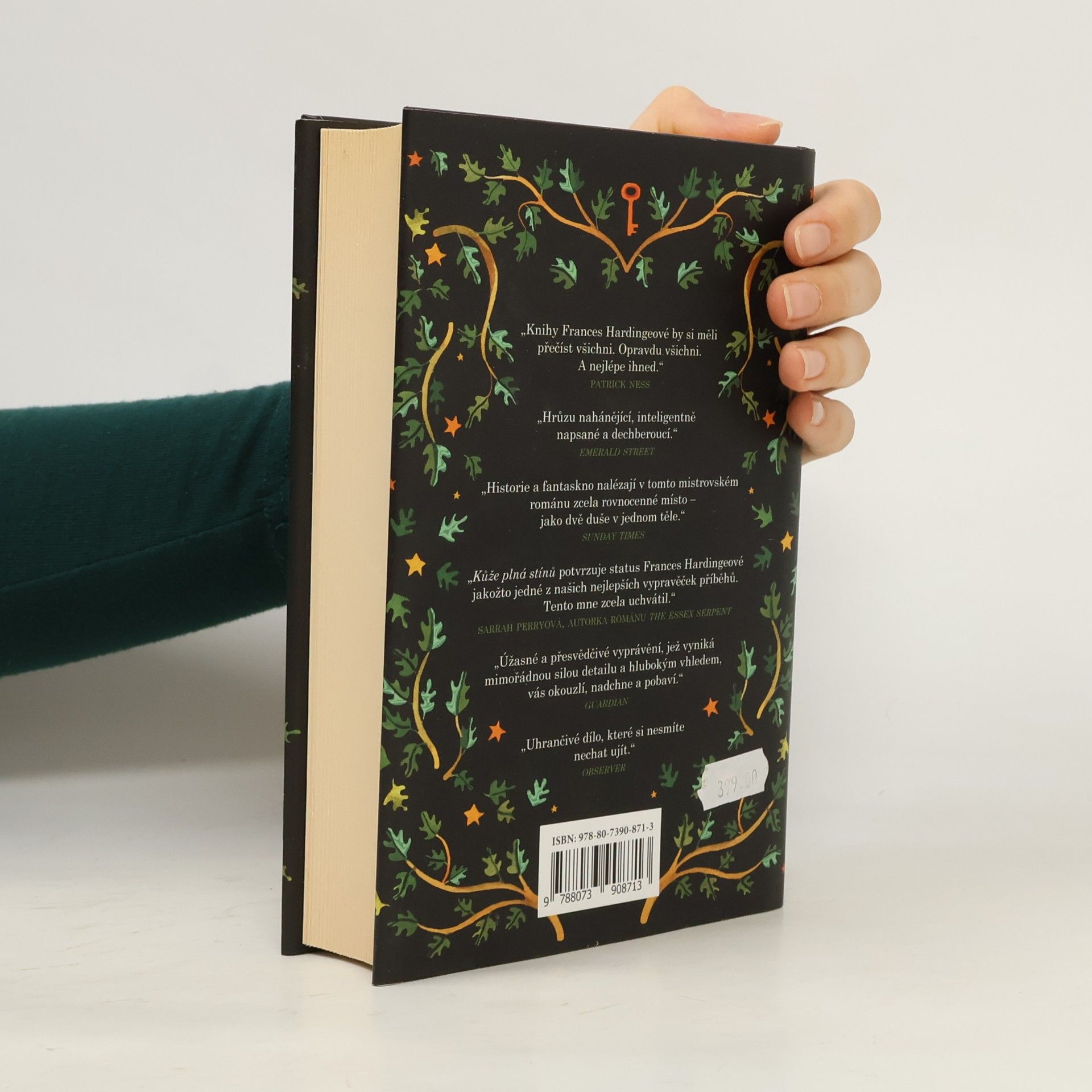 Frances Hardinge Kůže plná stínů