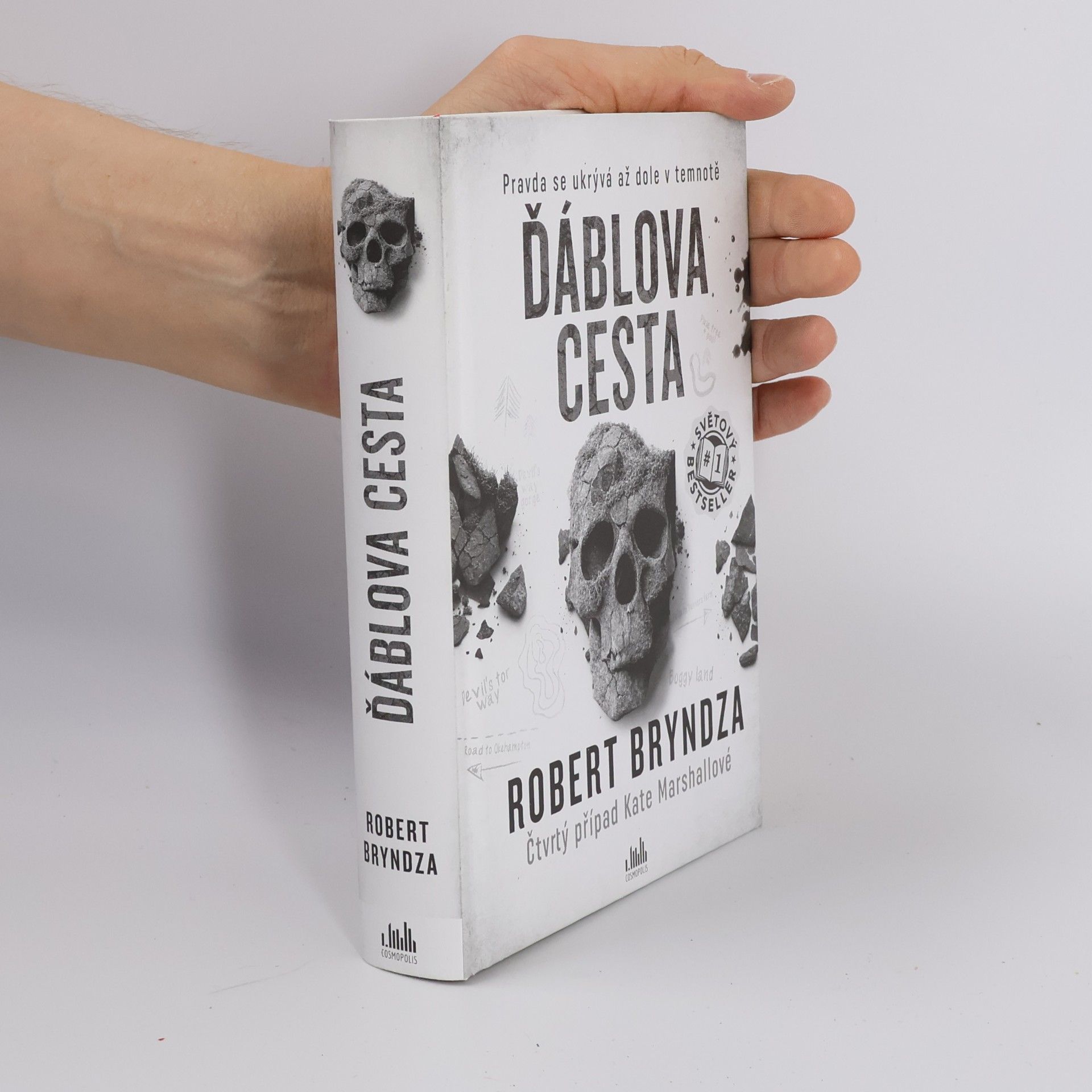 Robert Bryndza Ďáblova cesta