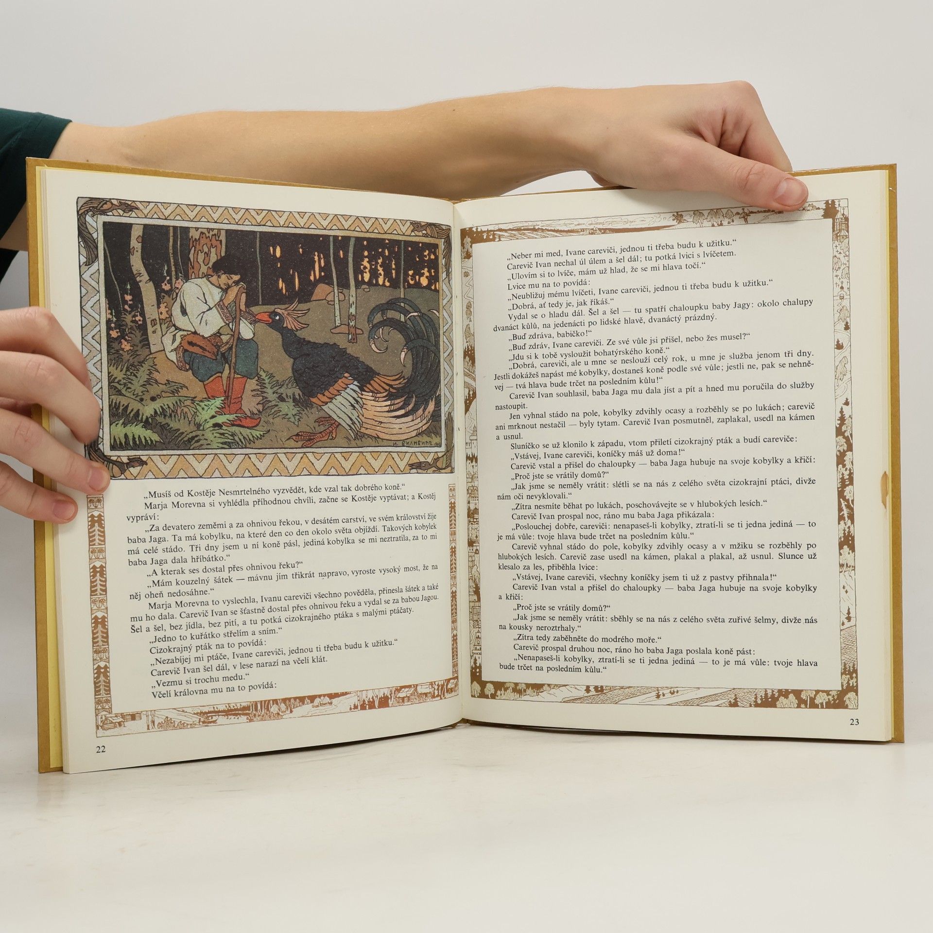 Autorenkollektiv Peříčko Finista Jasného sokola