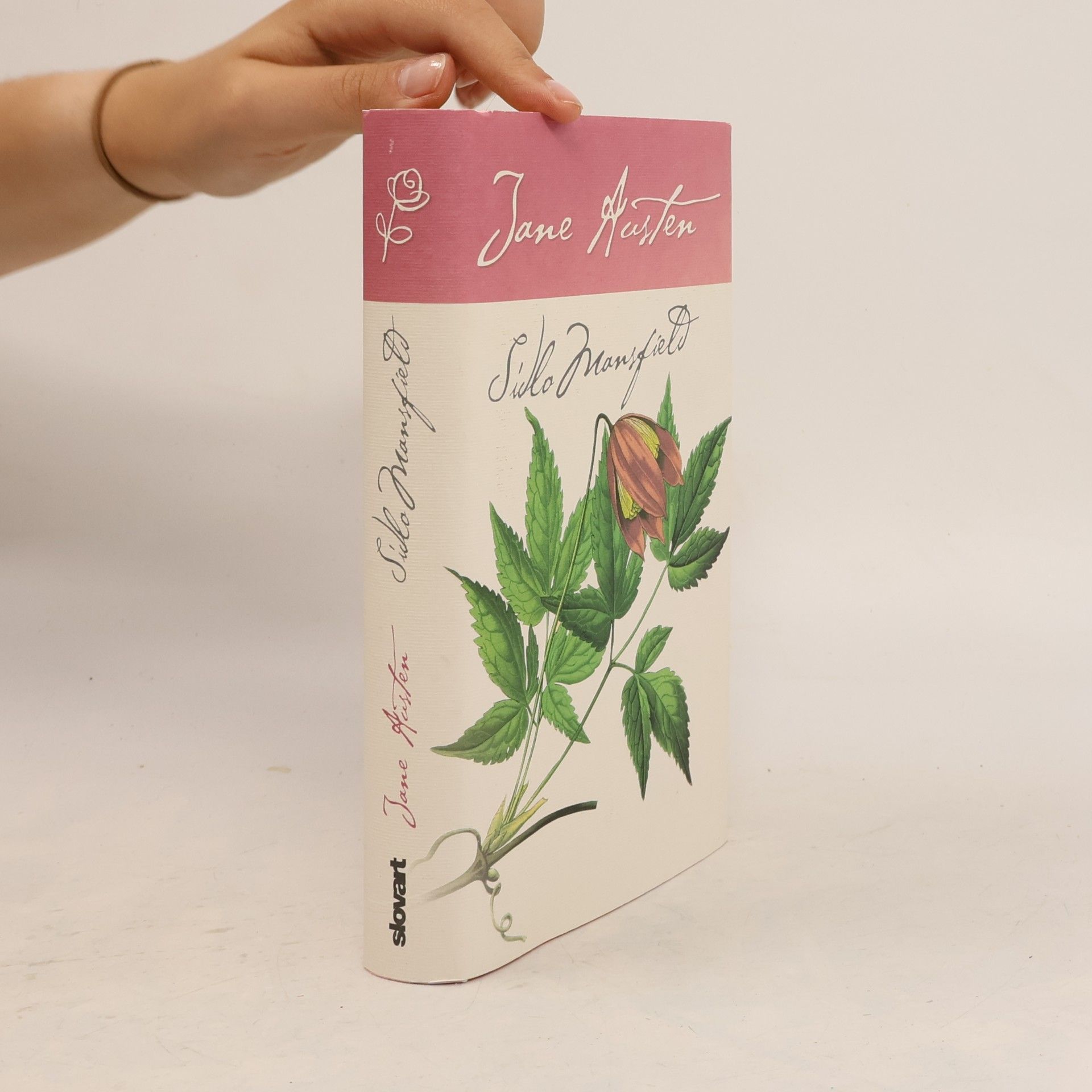 Jane Austen Sídlo Mansfield