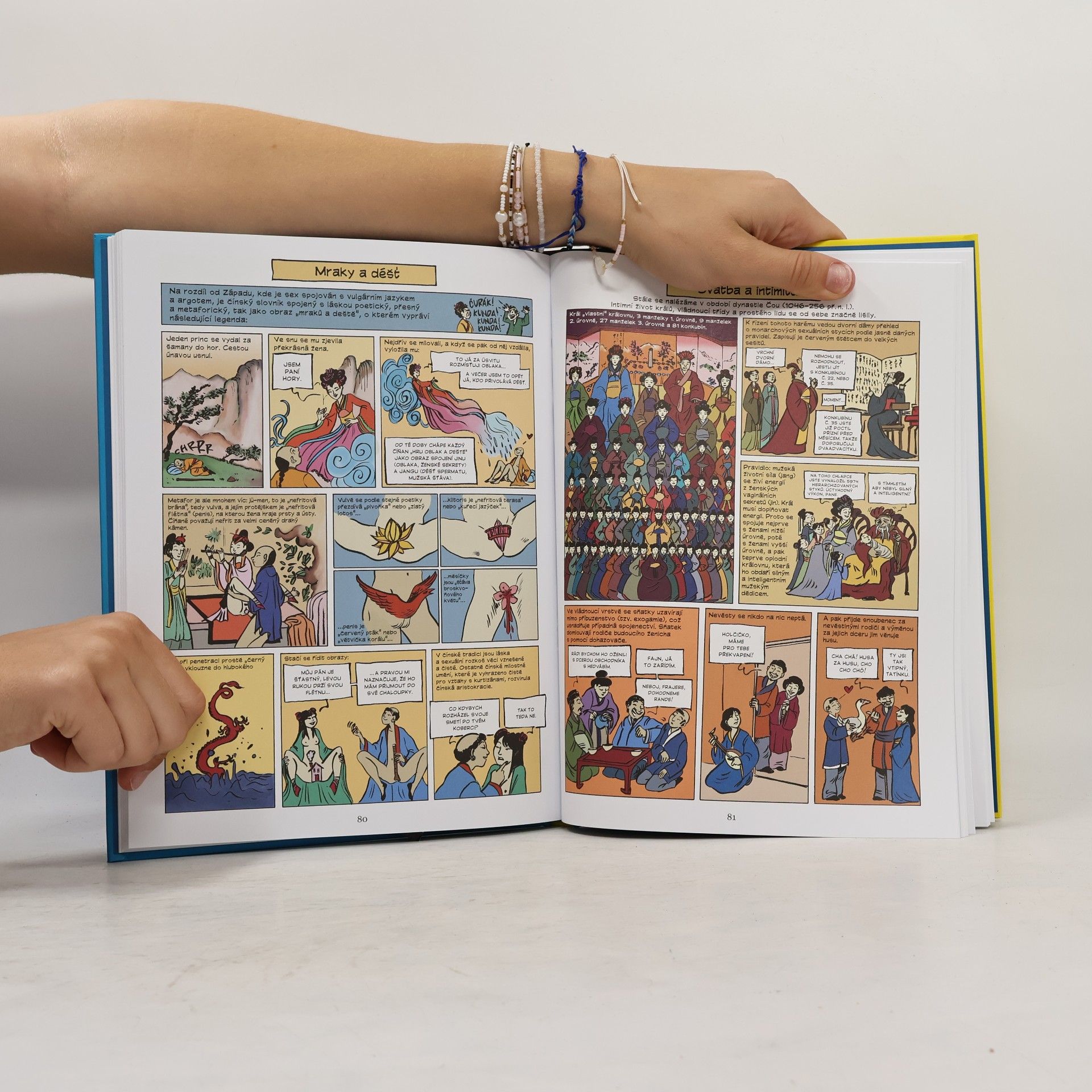 Philippe Brenot Sex komiks : intimní historie Afriky a Orientu