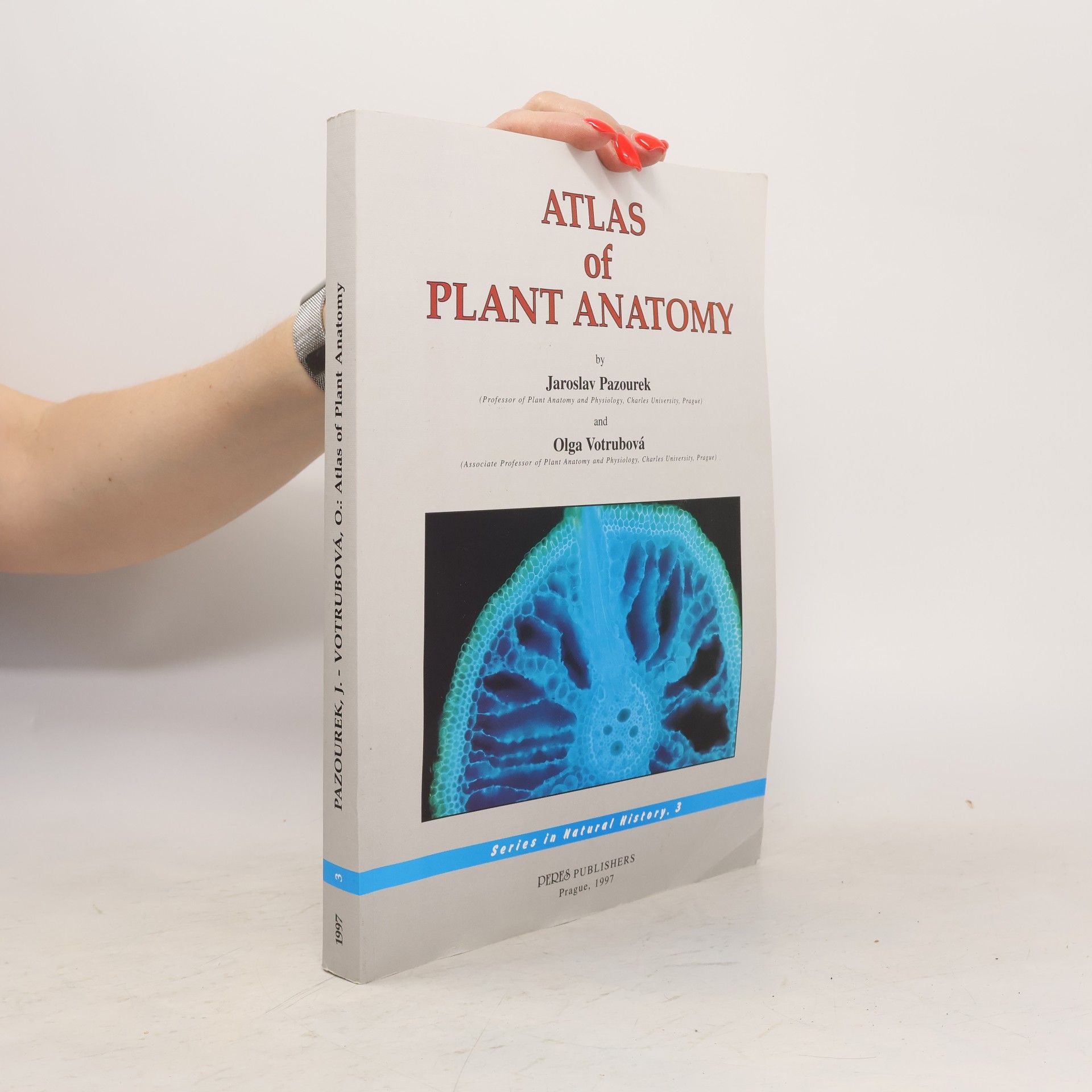 Olga Votrubová Atlas of plant anatomy