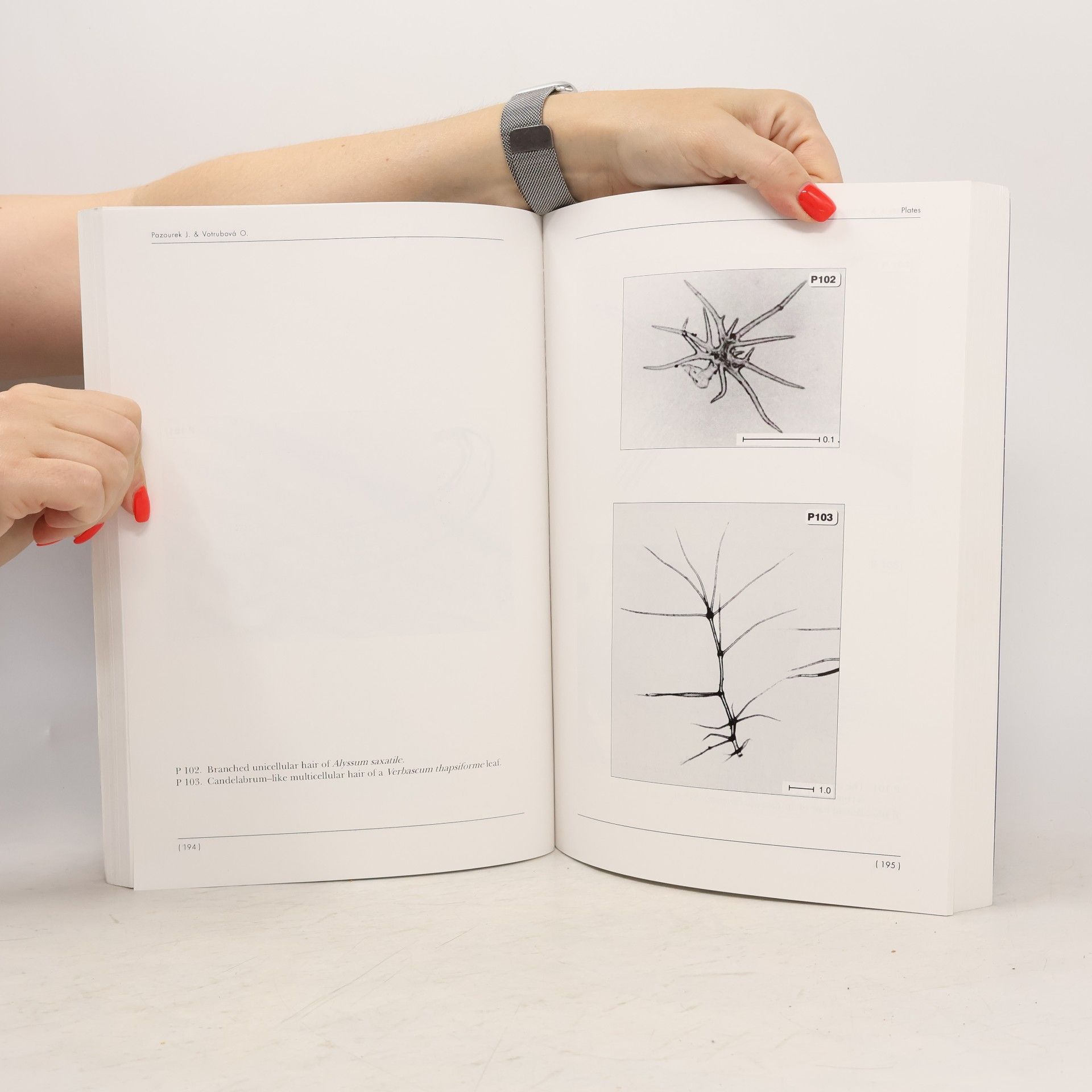 Jaroslav Pazourek Atlas of plant anatomy