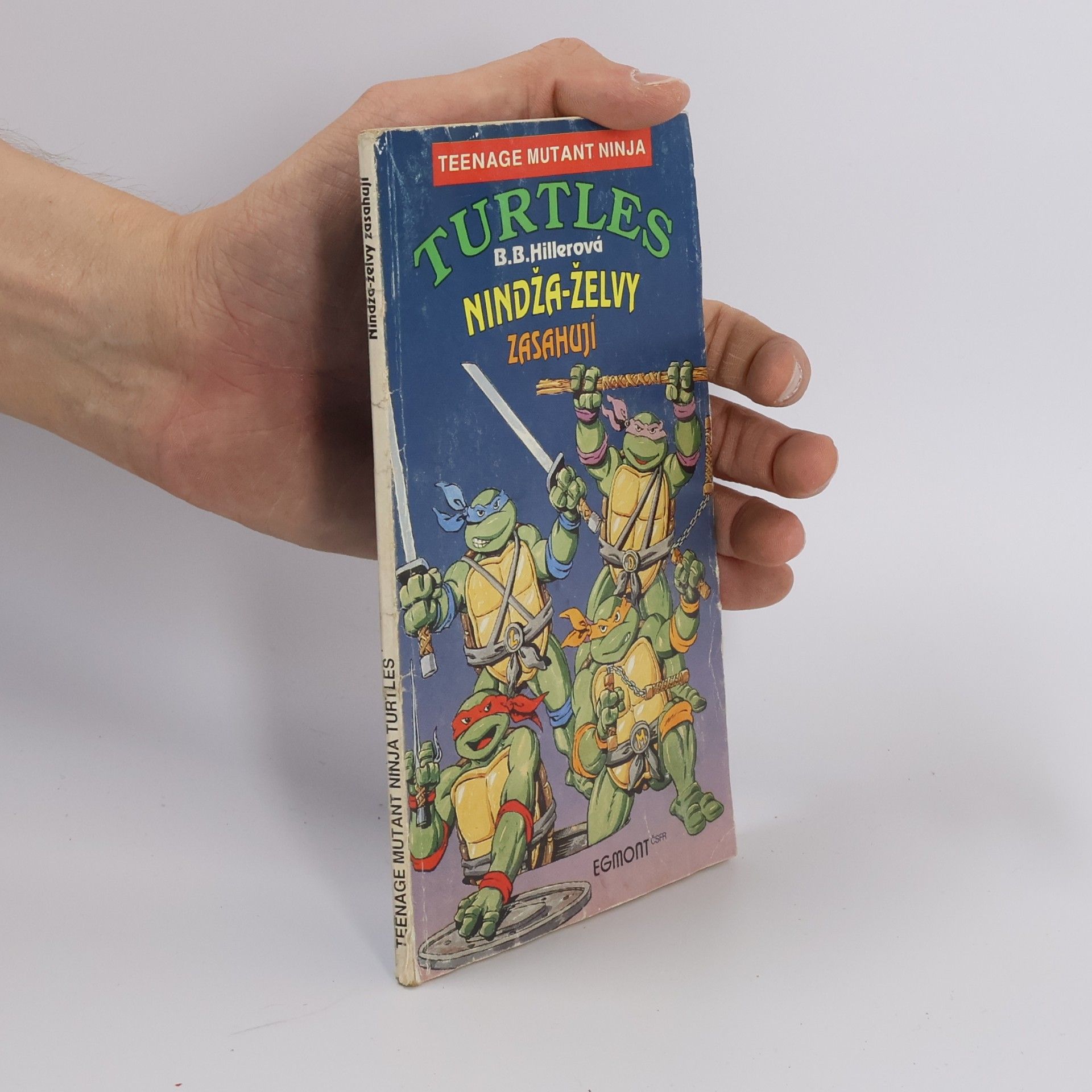 Bonnie Bryant Teenage Mutant Ninja Turtles: Nindža-želvy zasahují