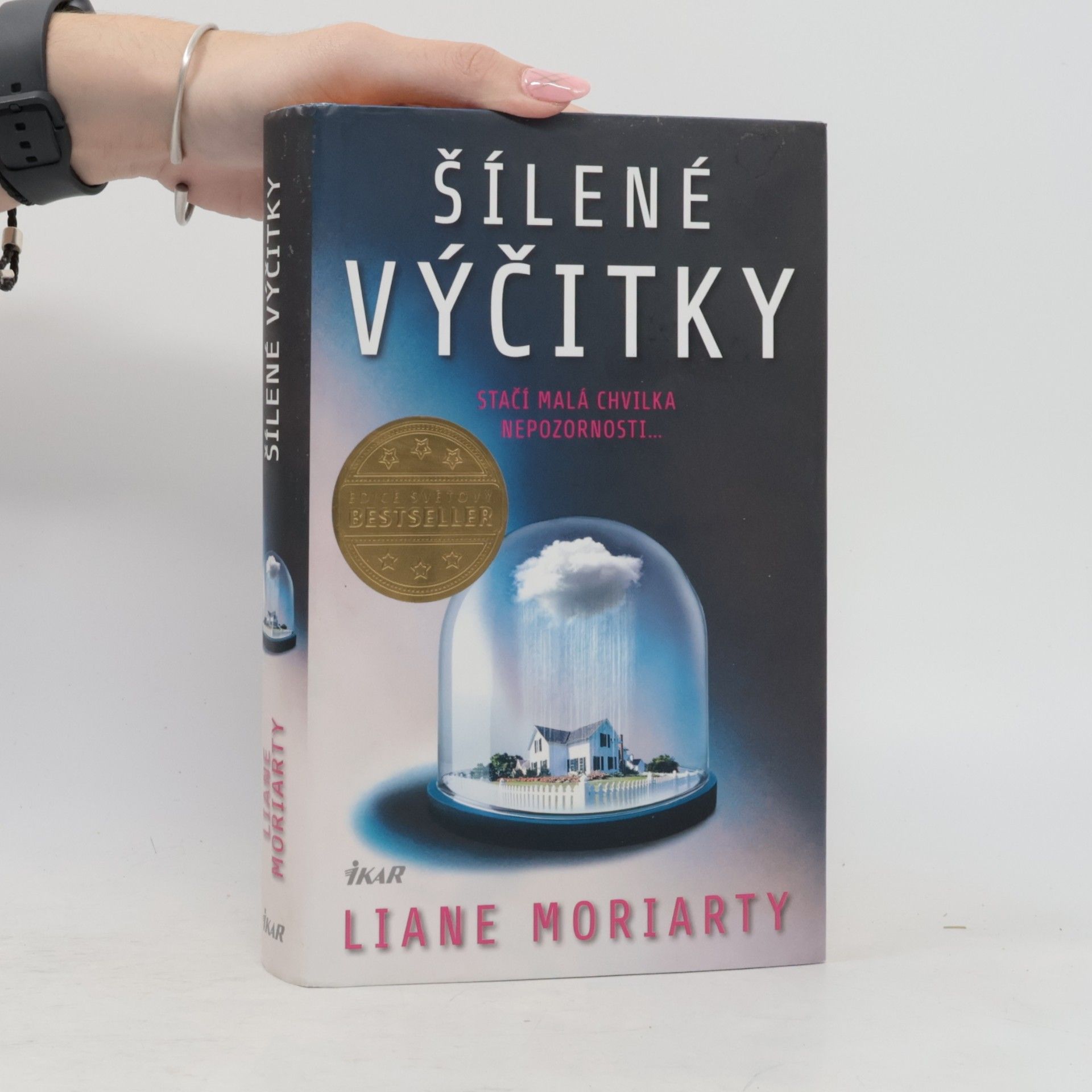 Liane Moriarty Šílené výčitky