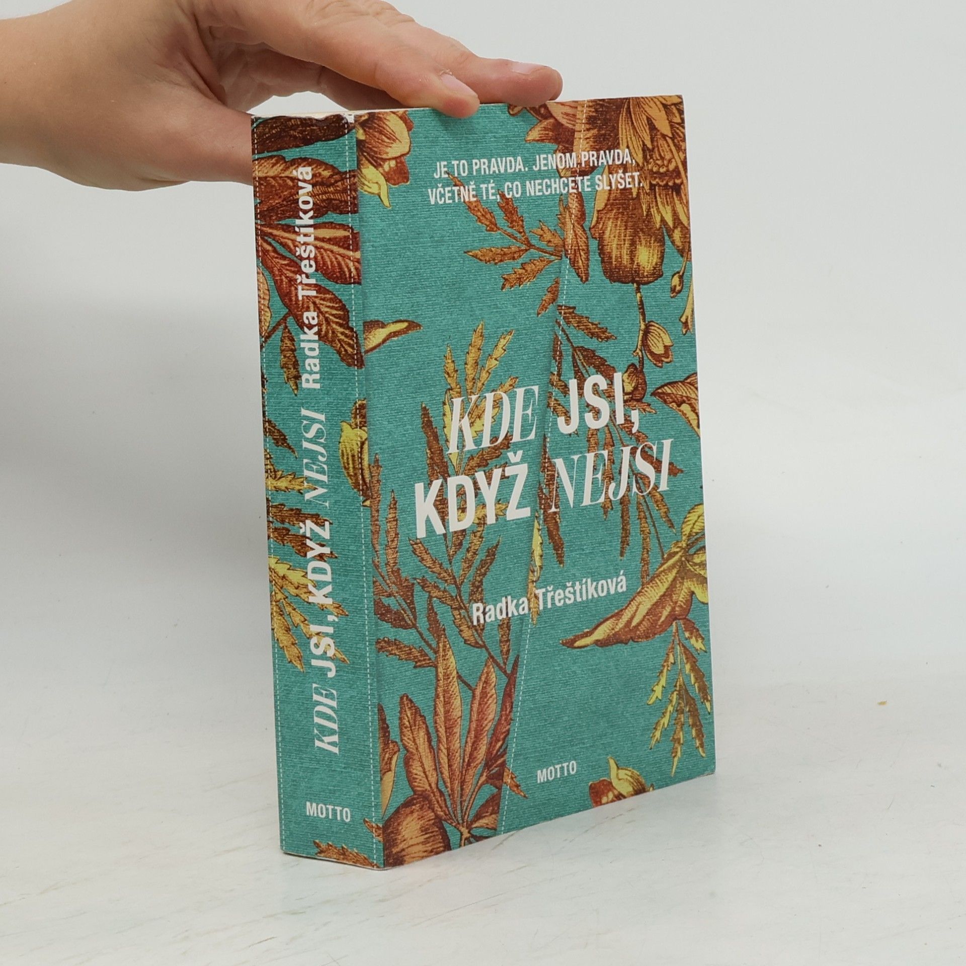 Radka Třeštíková Kde jsi, když nejsi