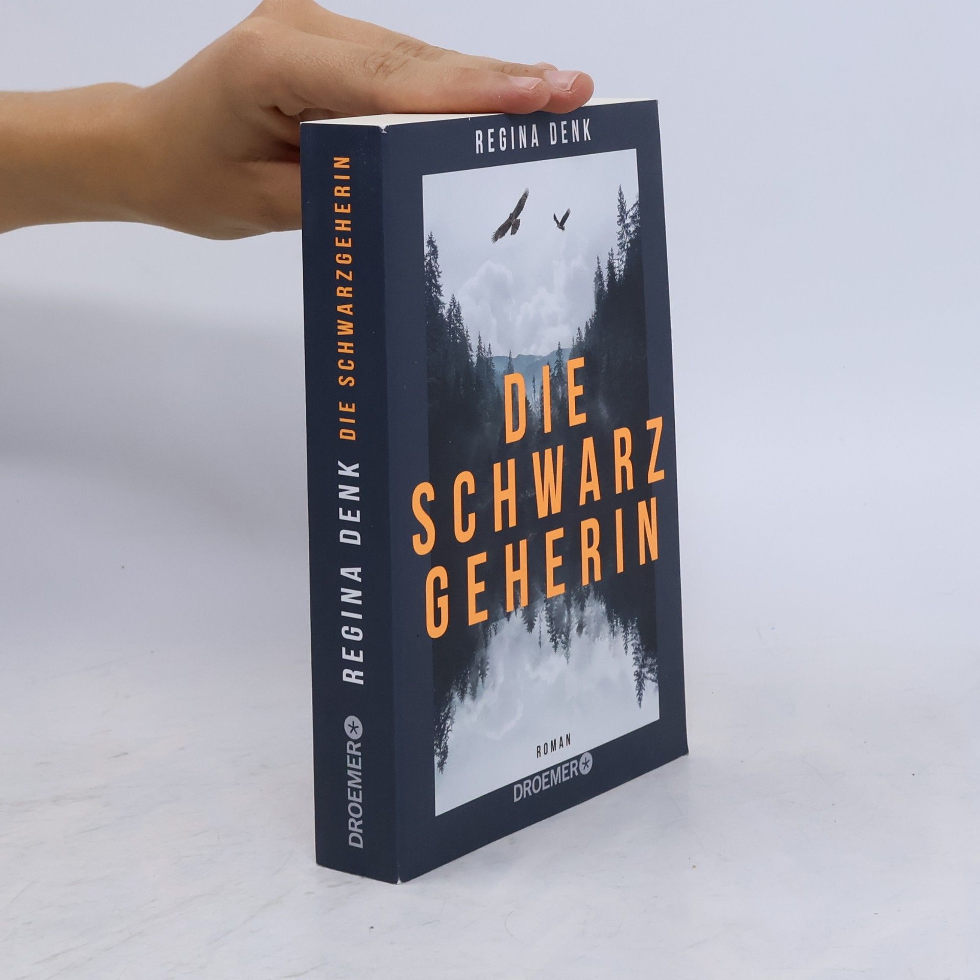 Regina Denk Die Schwarzgeherin