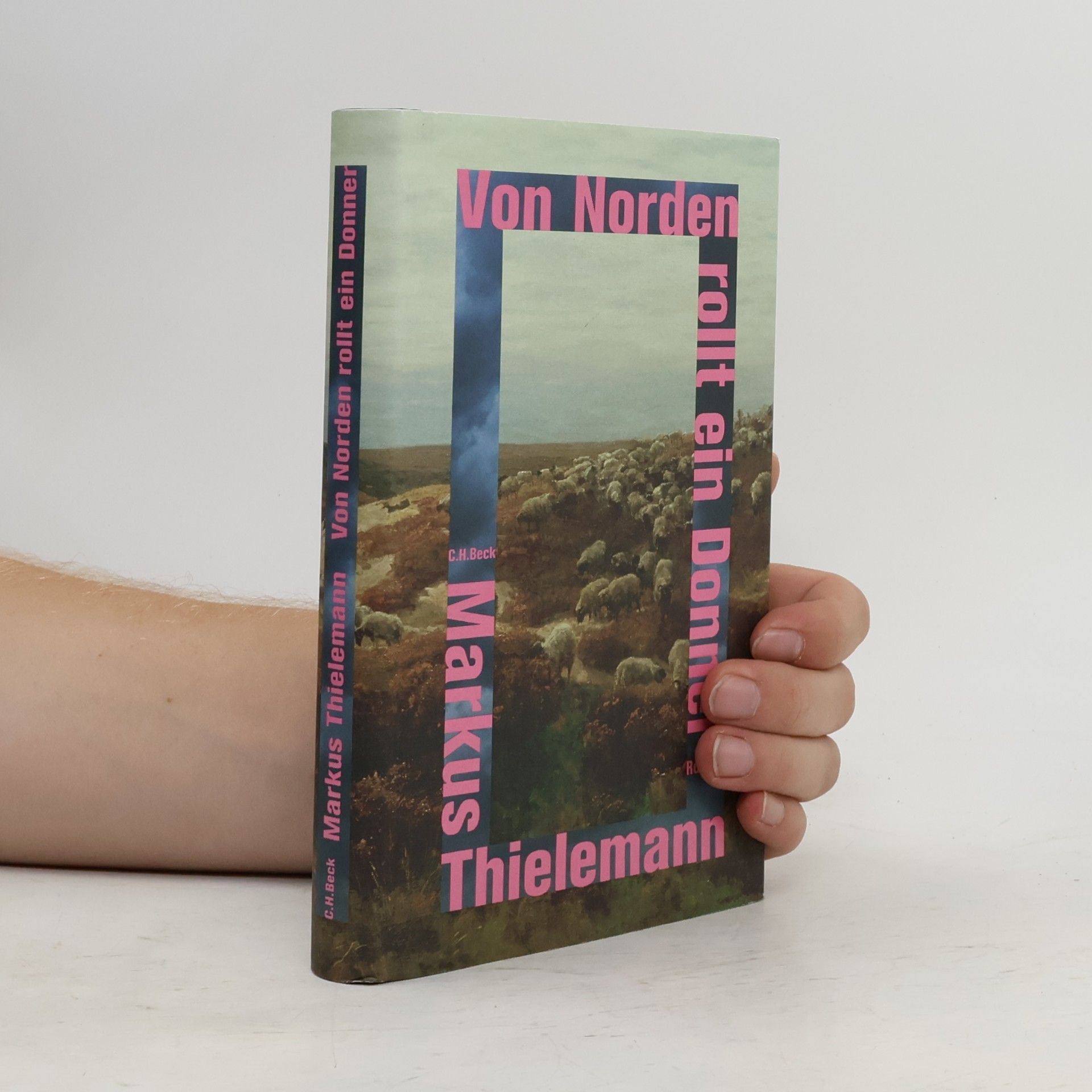 Markus Thielemann Von Norden rollt ein Donner