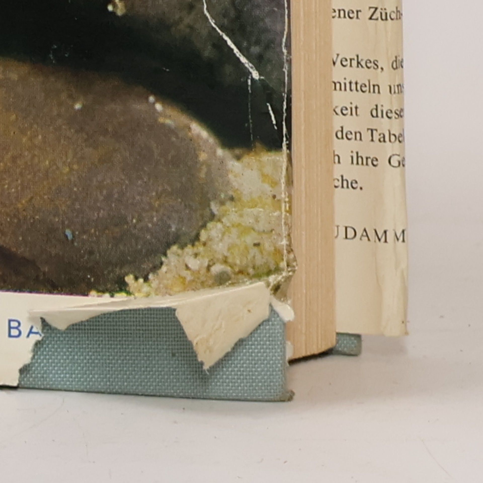 Hans Frey Das Aquarium von A bis Z